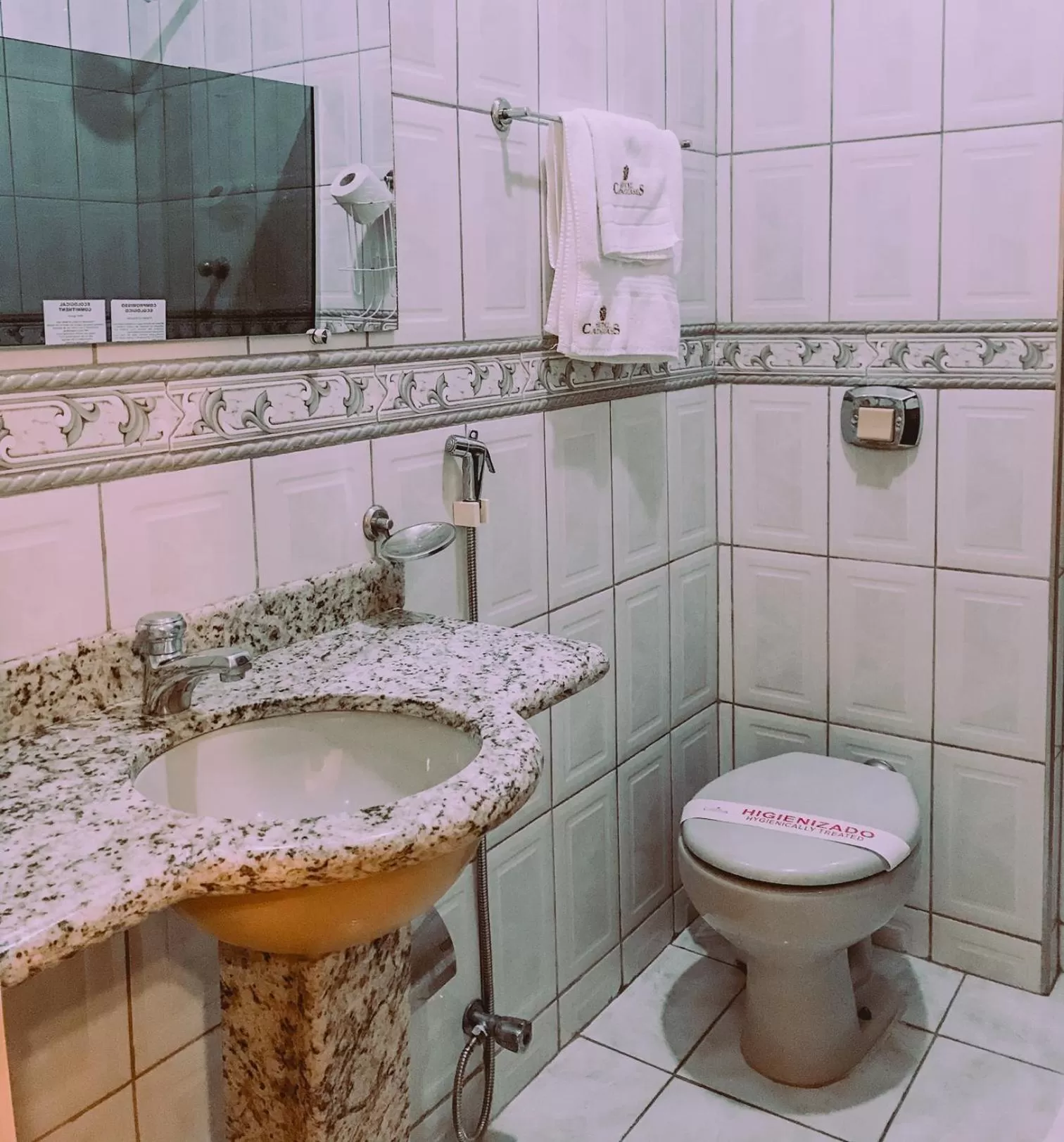 Bathroom in Hotel Cataguases