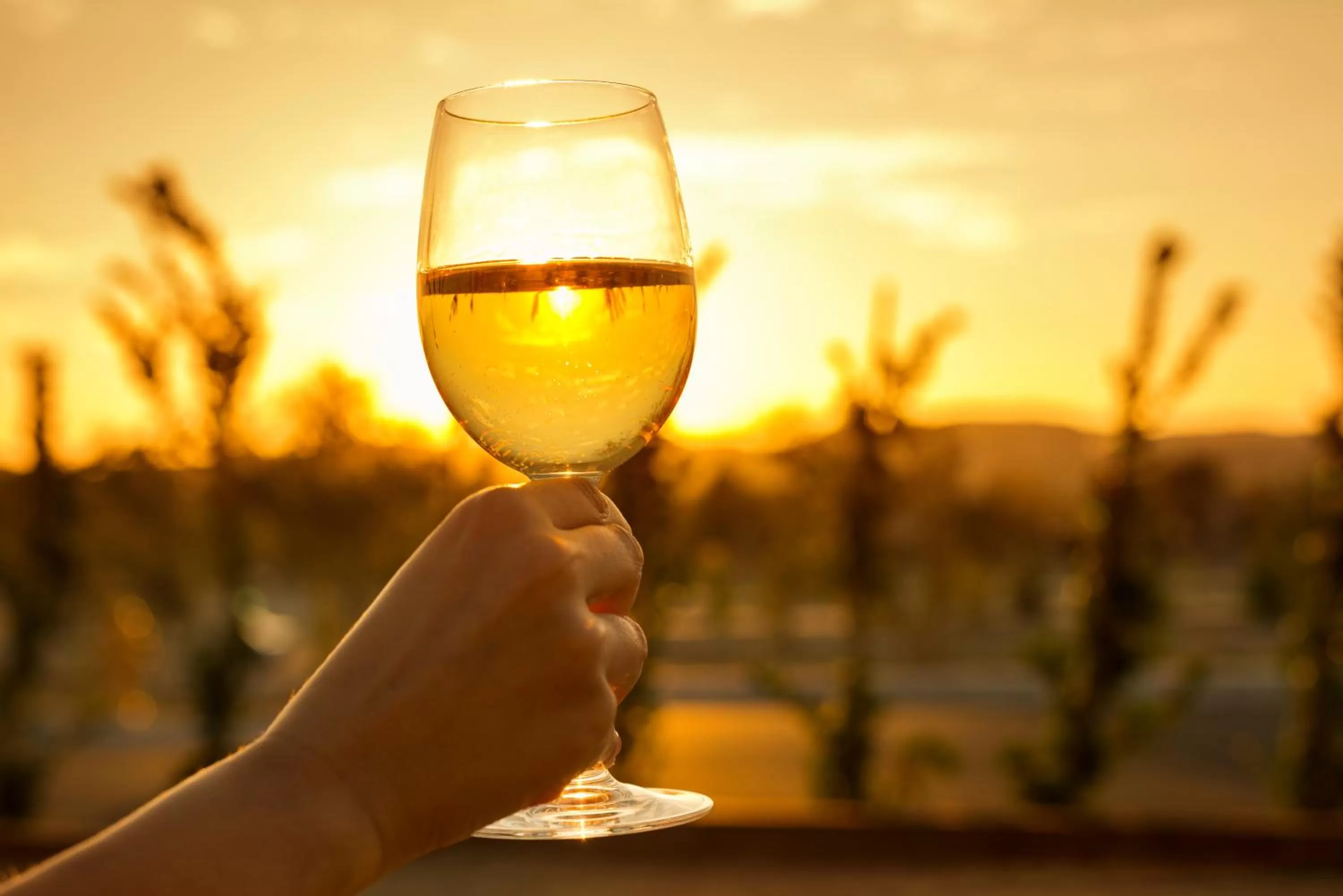 Alcoholic drinks in Allegretto Vineyard Resort Paso Robles