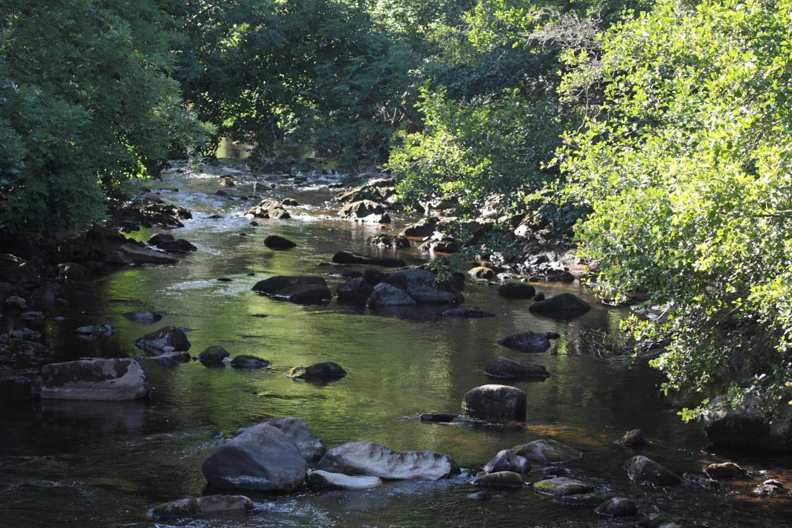 Natural landscape in Lovaton Farmhouse