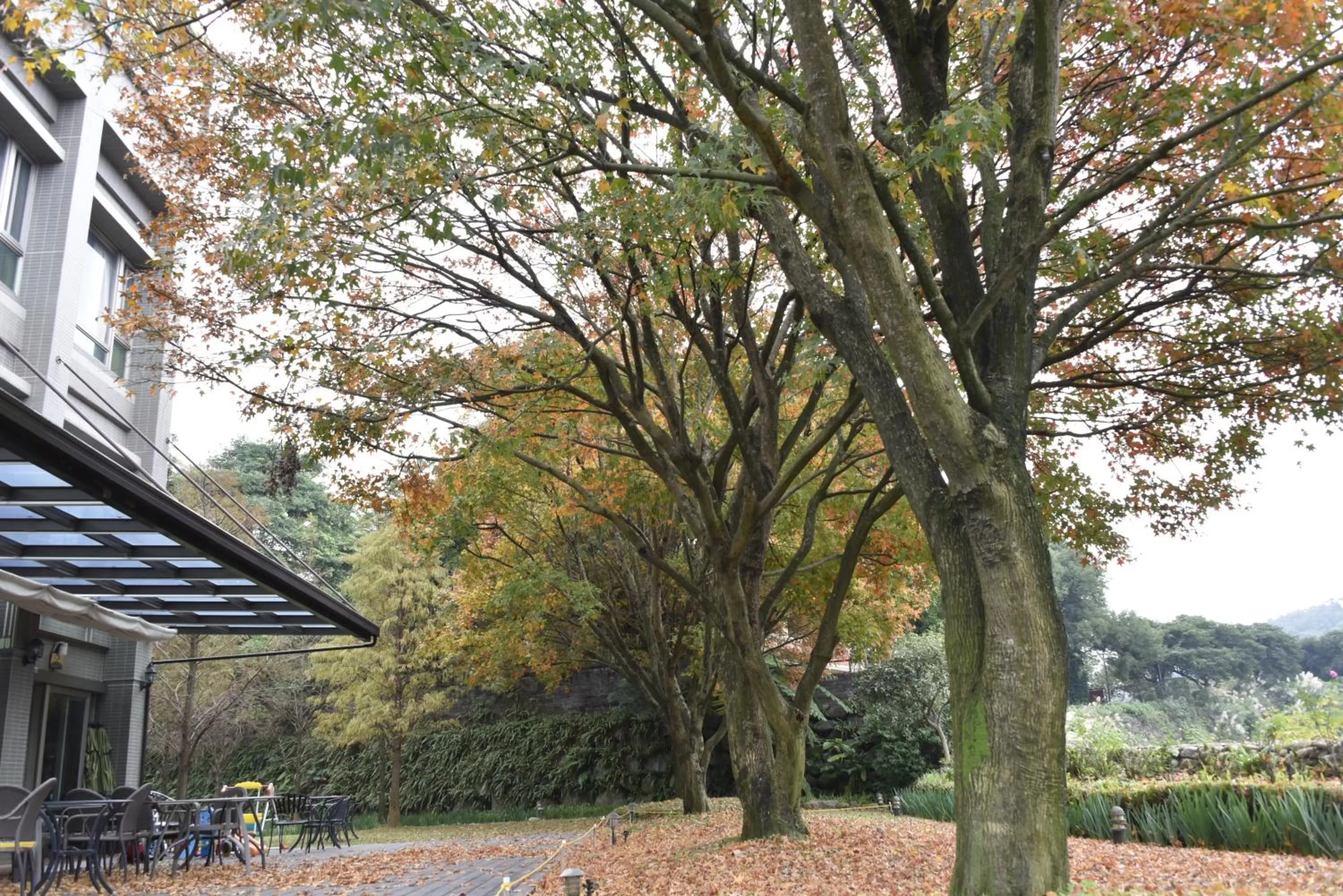 Property Building in Rainbow Bridge B&B