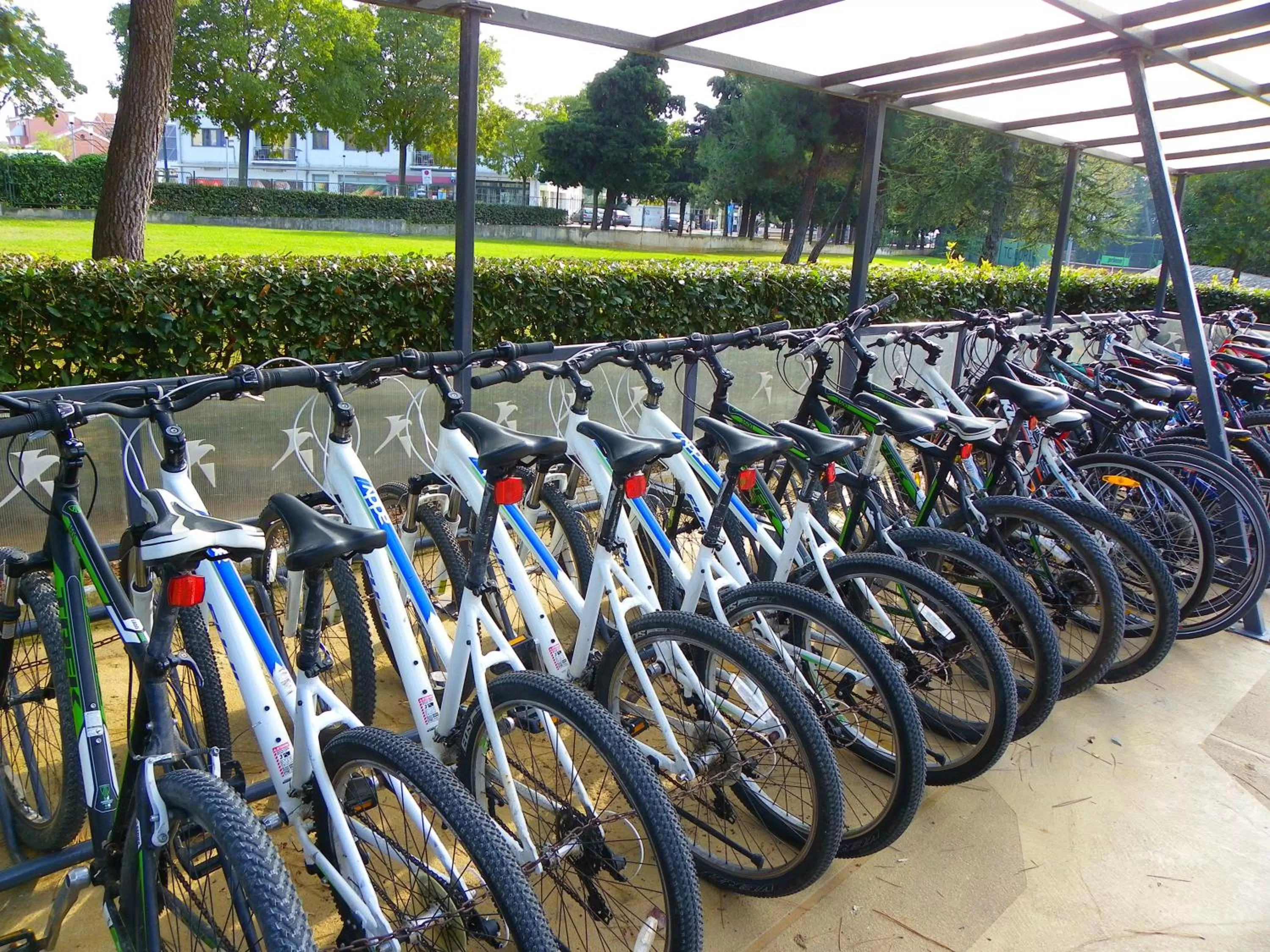 Day in Falkensteiner Club Funimation Borik