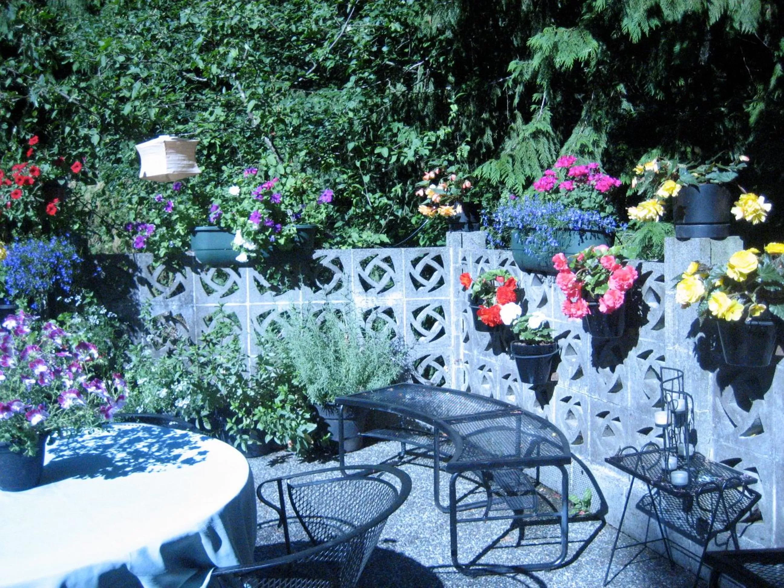 Garden in Misty Meadows B and B