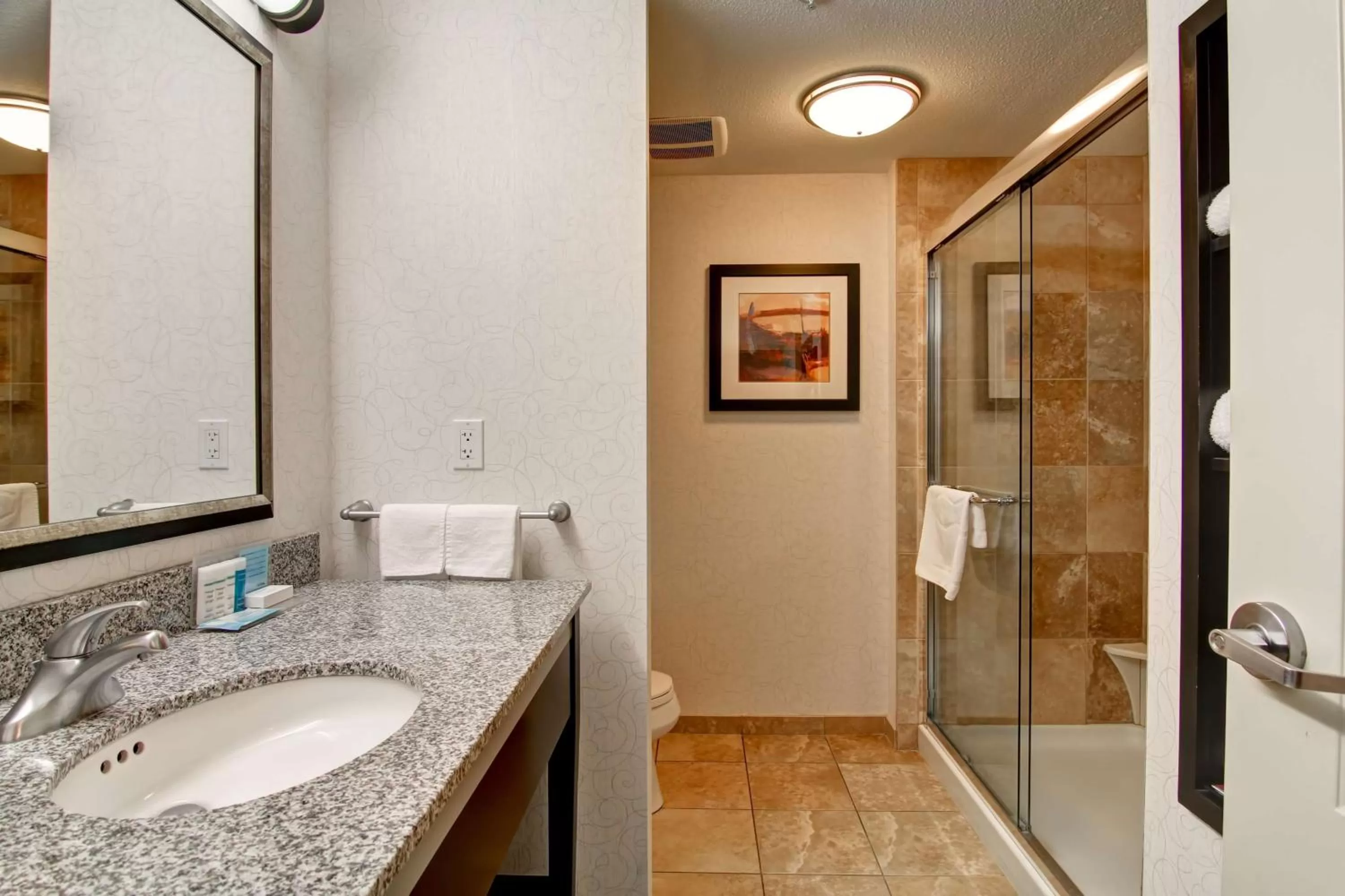Bathroom in Hampton Inn & Suites Red Deer