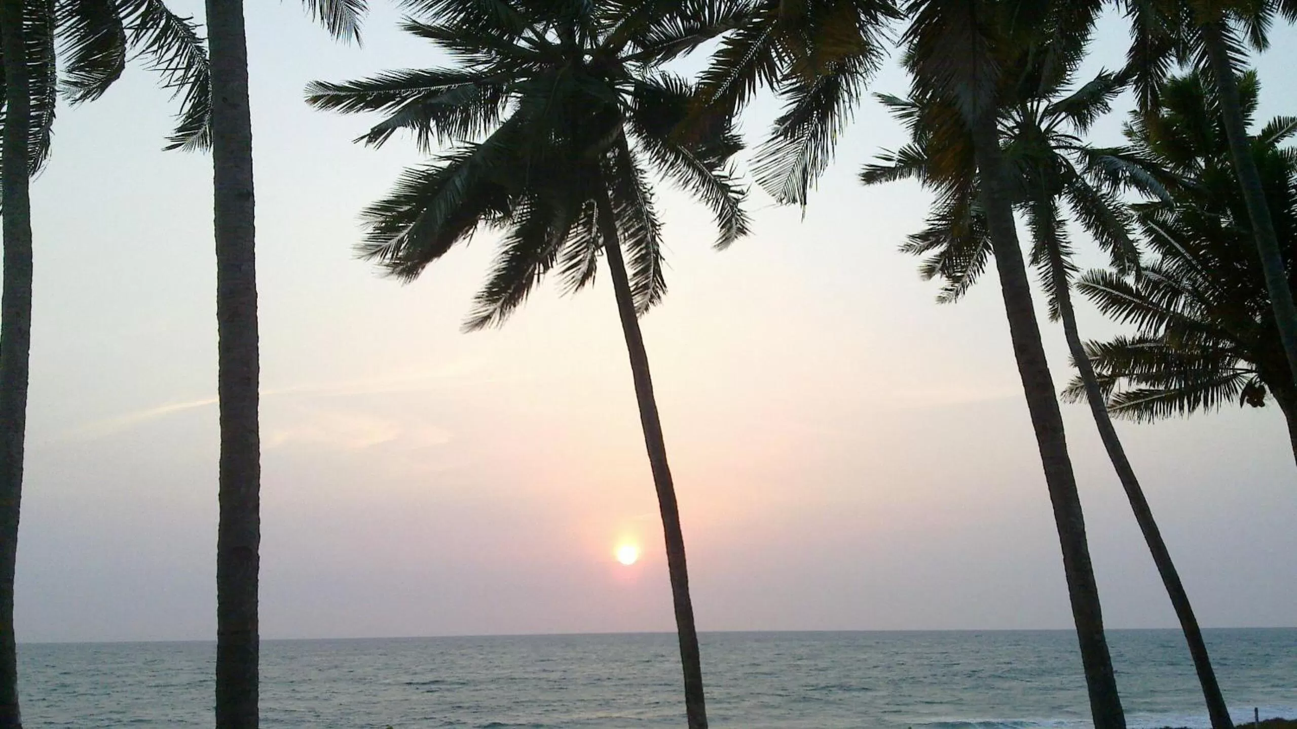 View (from property/room) in Blue Water Beach Resort