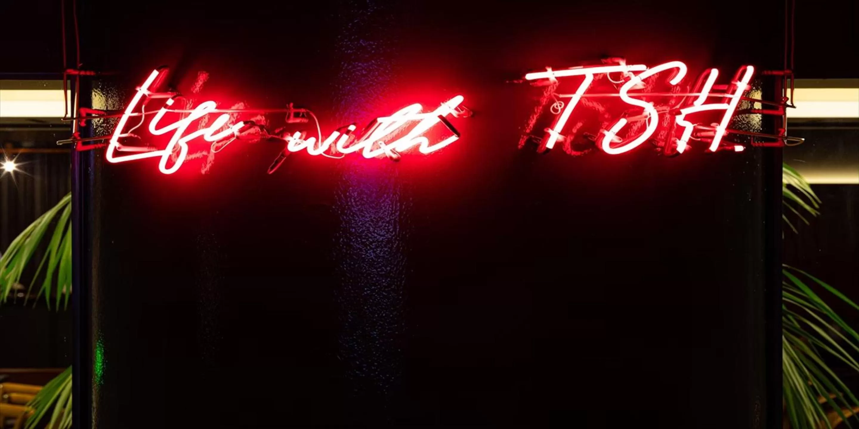 Property logo or sign in THE STEEL HOUSE