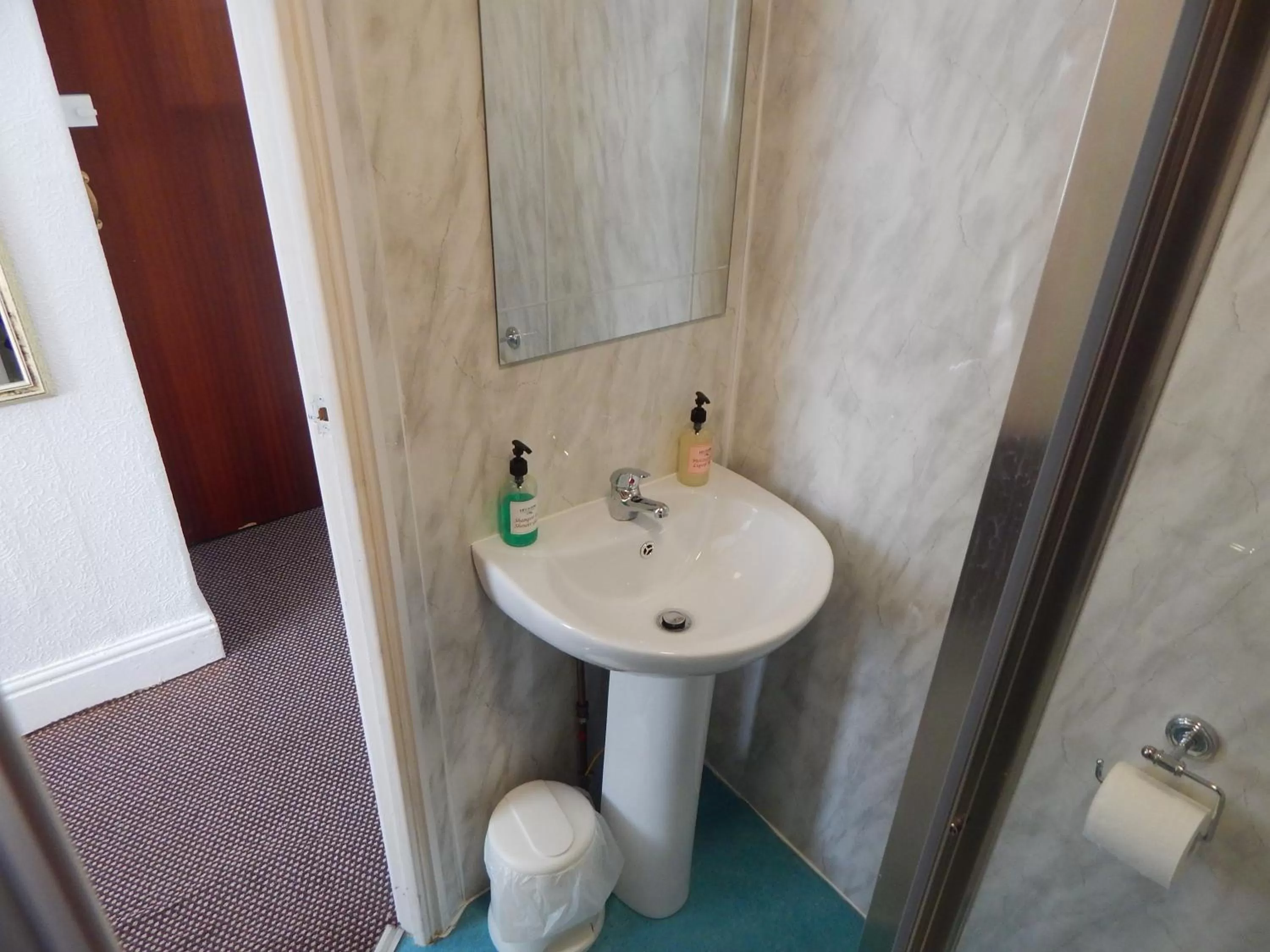 Shower in Llanryan Guest House