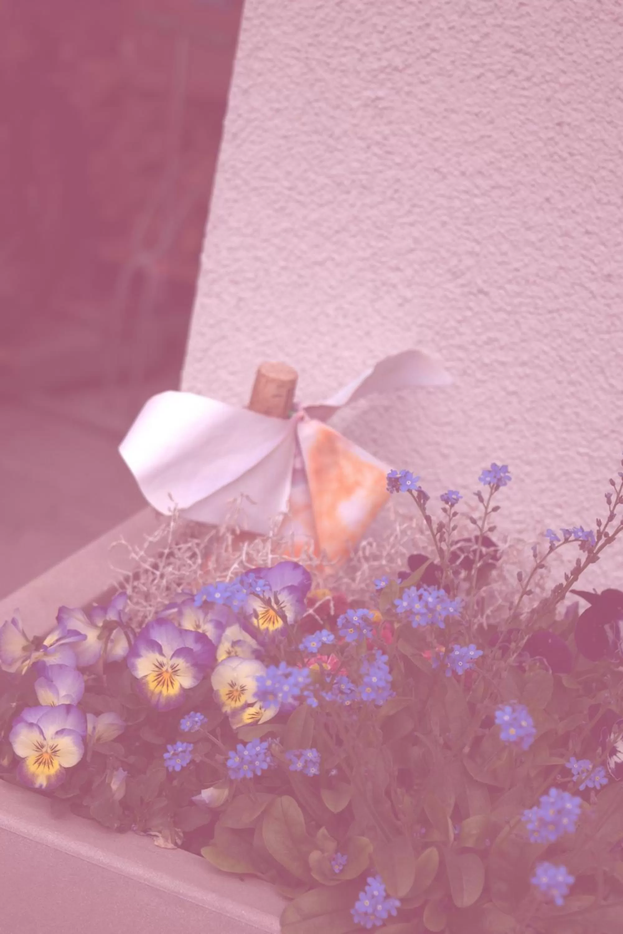 Other in Ristorante Pensione Chalet Stazione