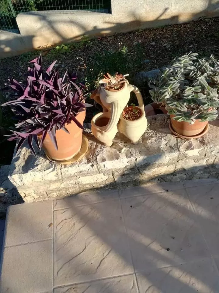 Le Dimore Del Sarto Polignano a mare