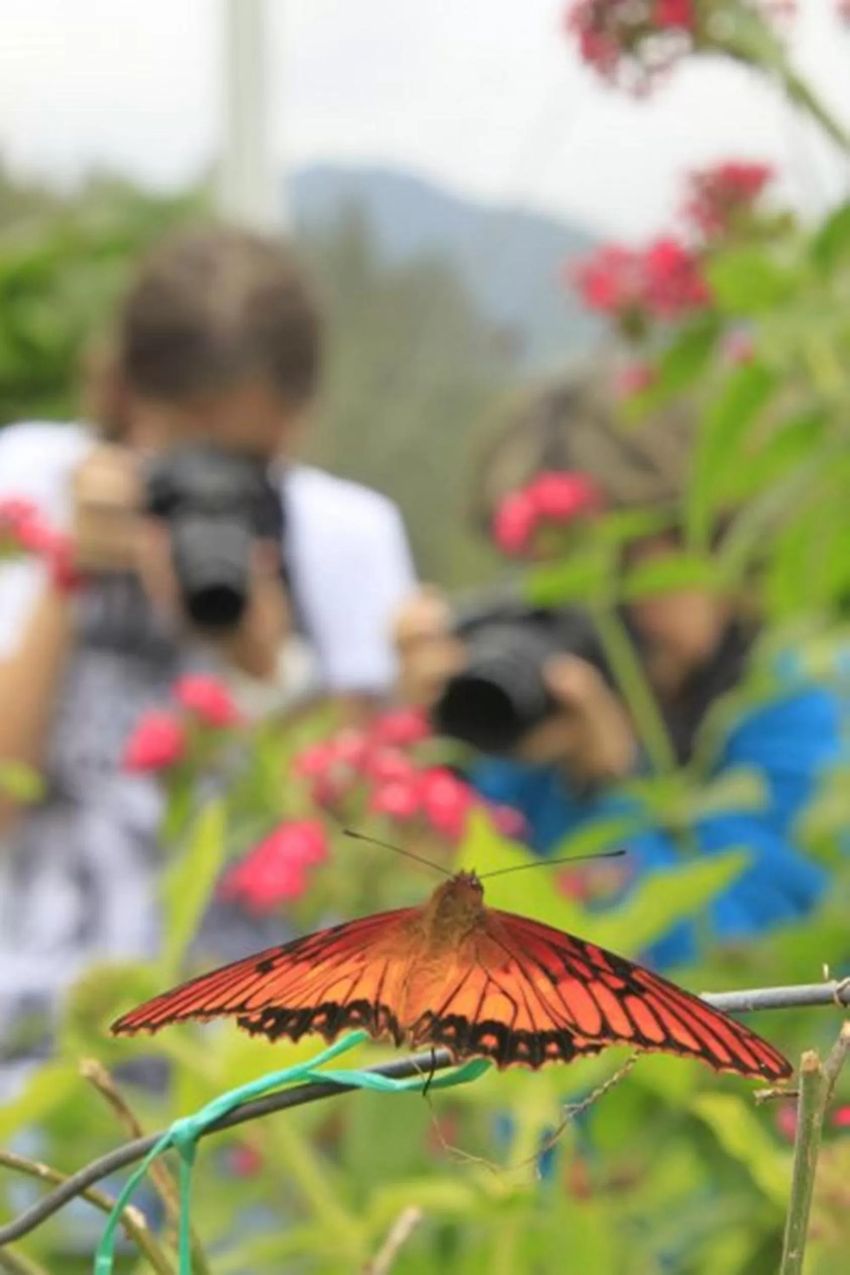 Activities in Estelar Recinto Del Pensamiento Hotel Y Centro De Convenciones