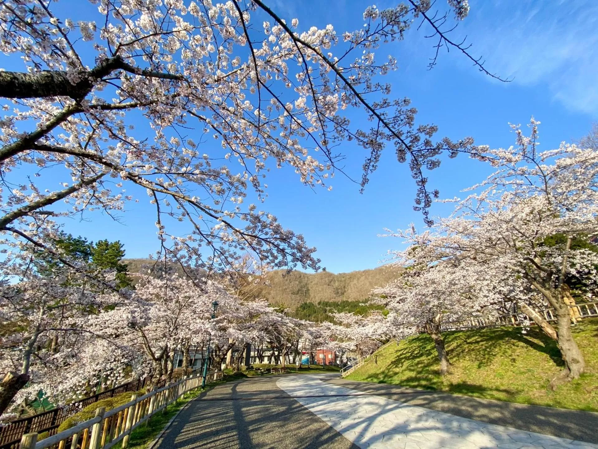 Nearby landmark in Tokyu Stay Hakodate Asaichi Akarinoyu