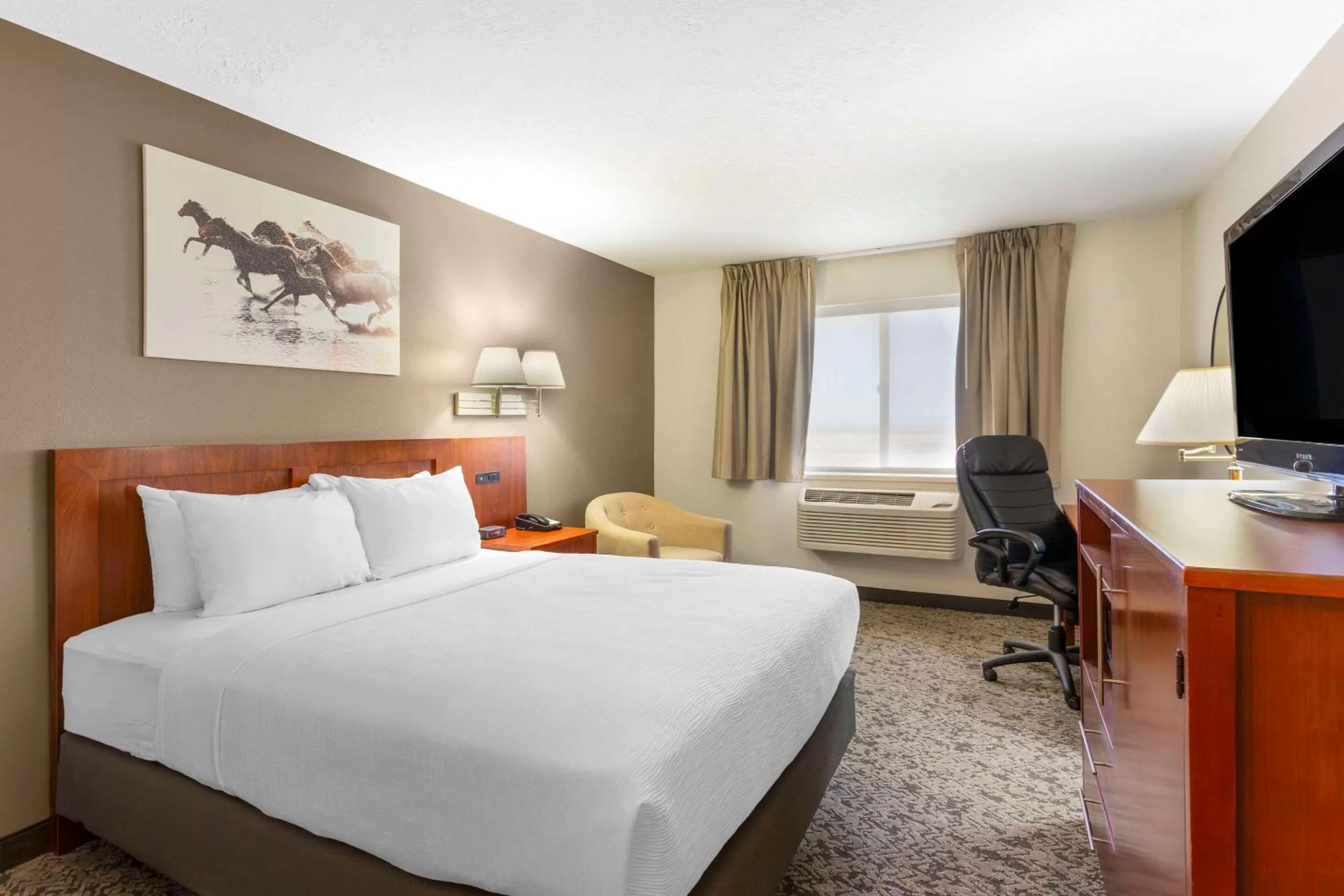 Standard Queen Room with Two Queen Beds in Quality Inn & Suites Fillmore I-15