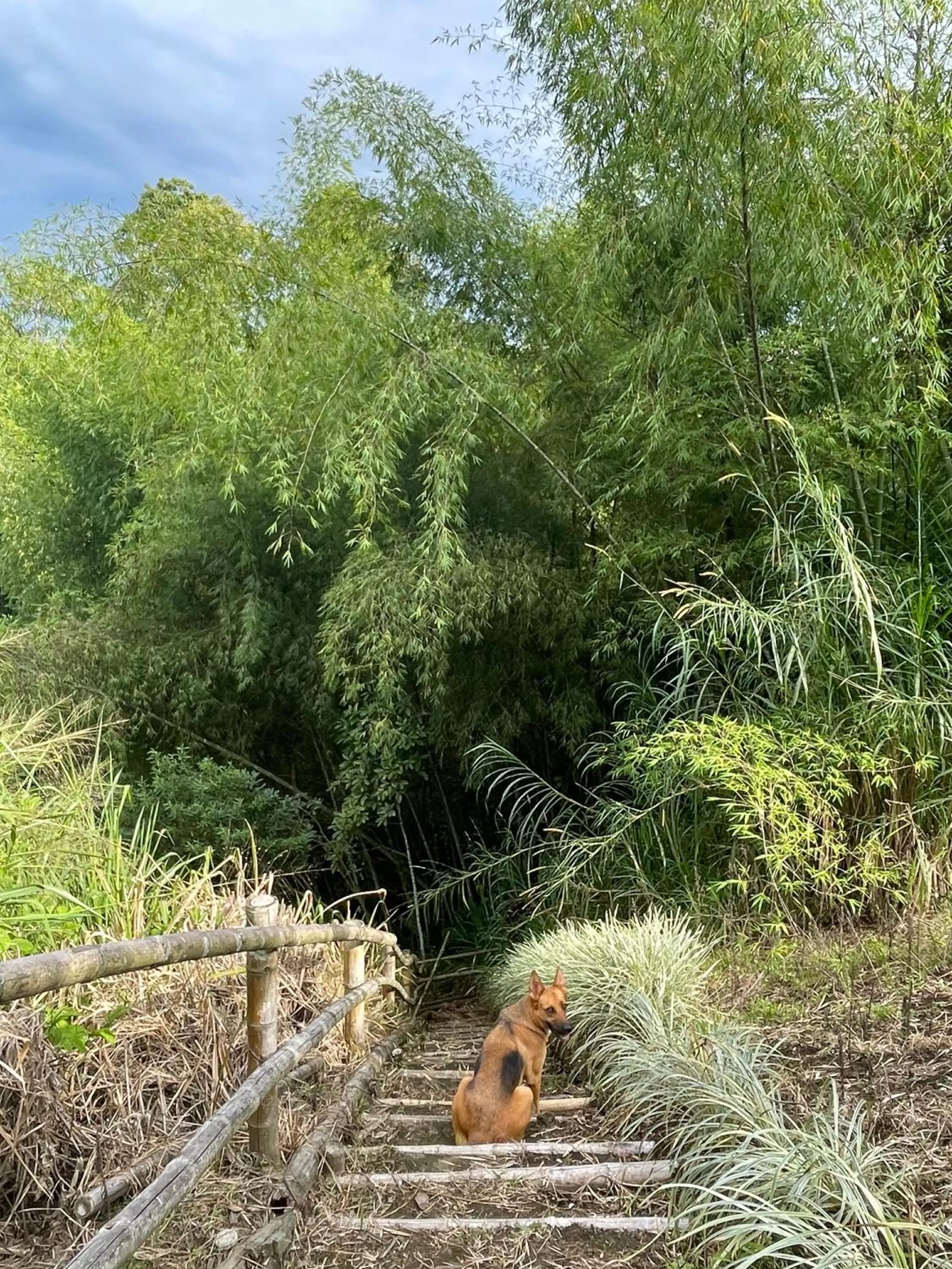 Activities in MuchoSur Quimbaya