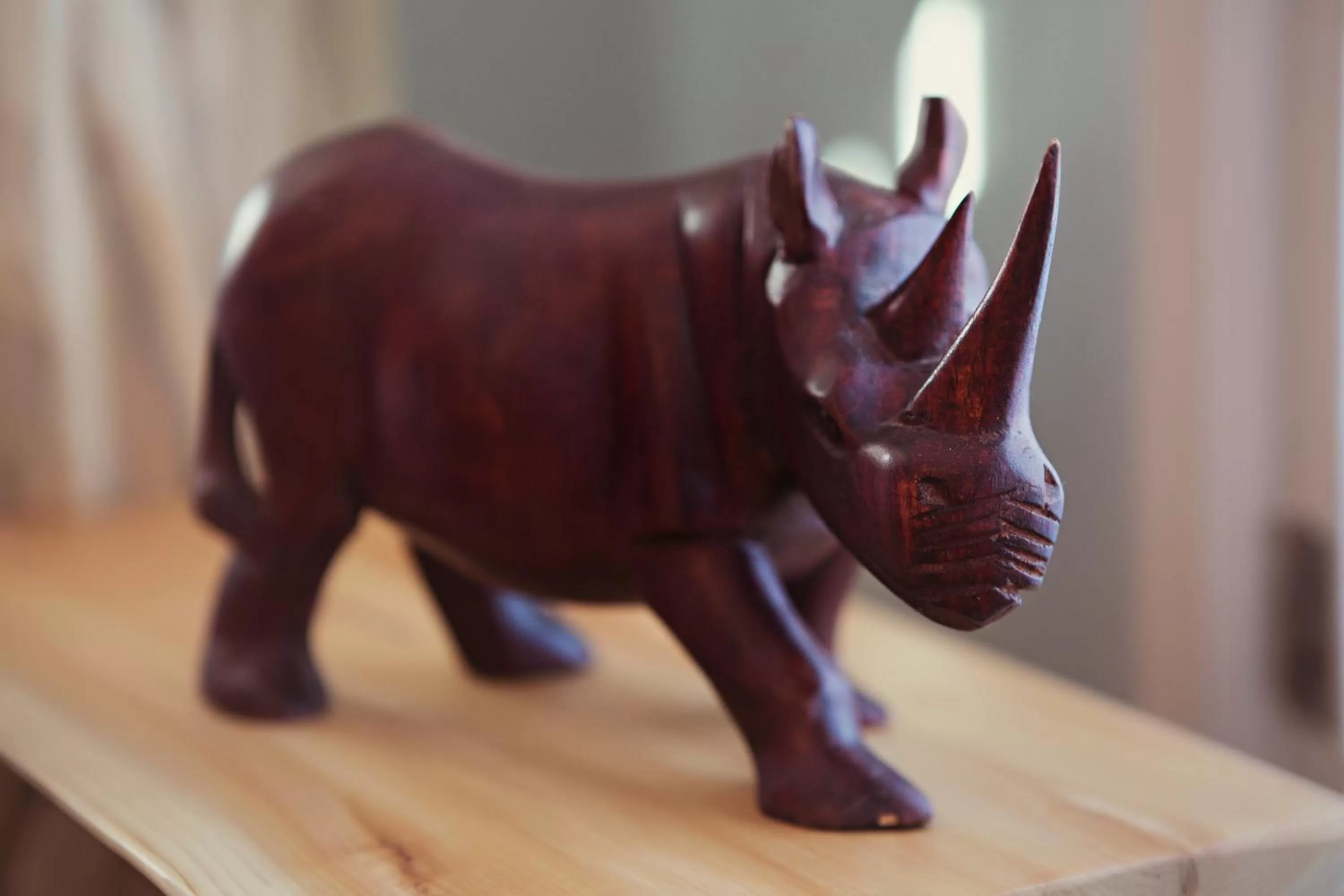 Decorative detail in Auberge Carpe Diem