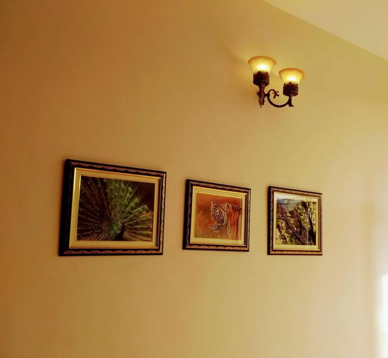 Decorative detail in Paridhi Niwas, Ranthambore- near Tiger Safari Zones 1-5