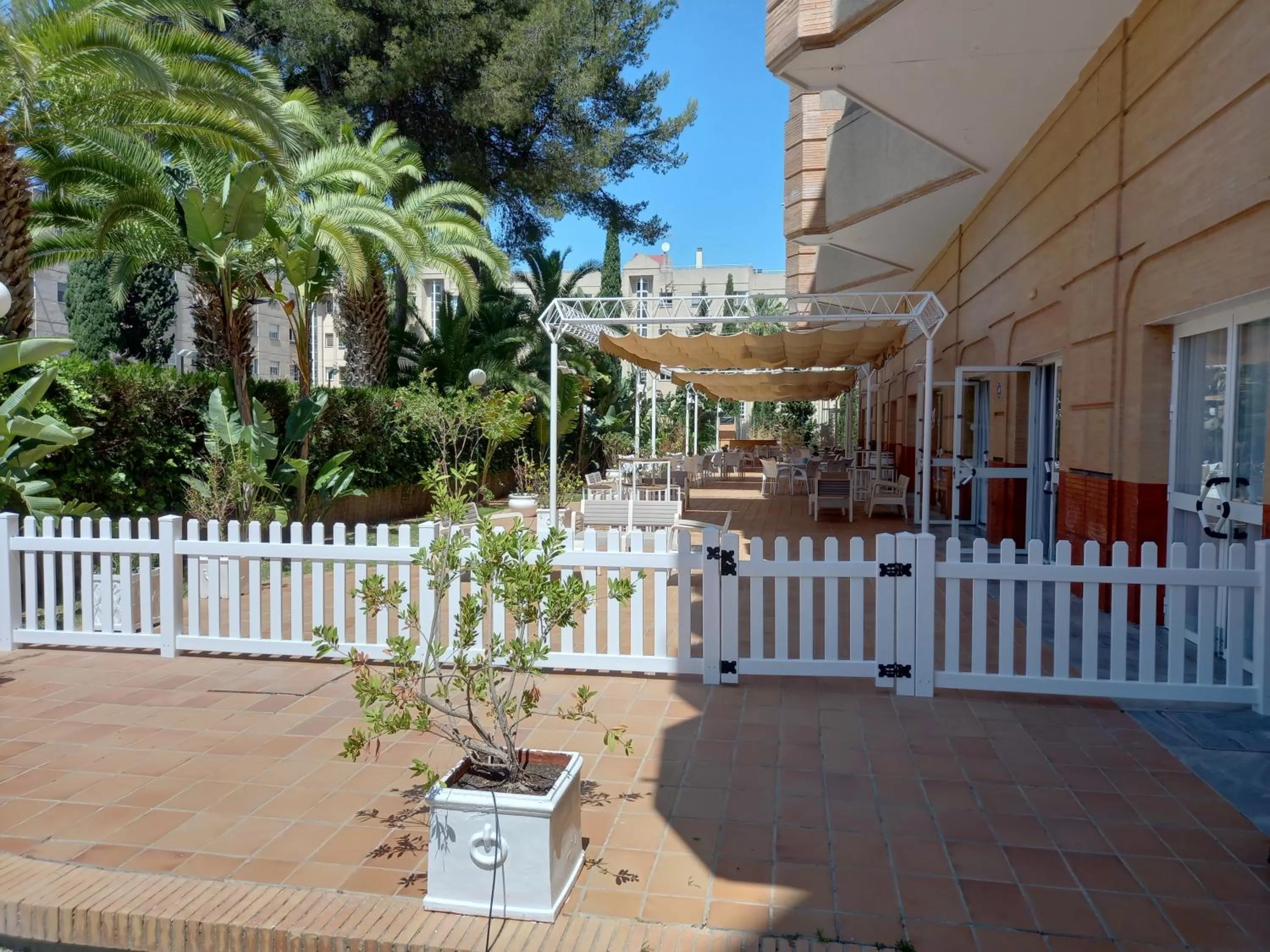 Pool view in Hotel TRH La Motilla