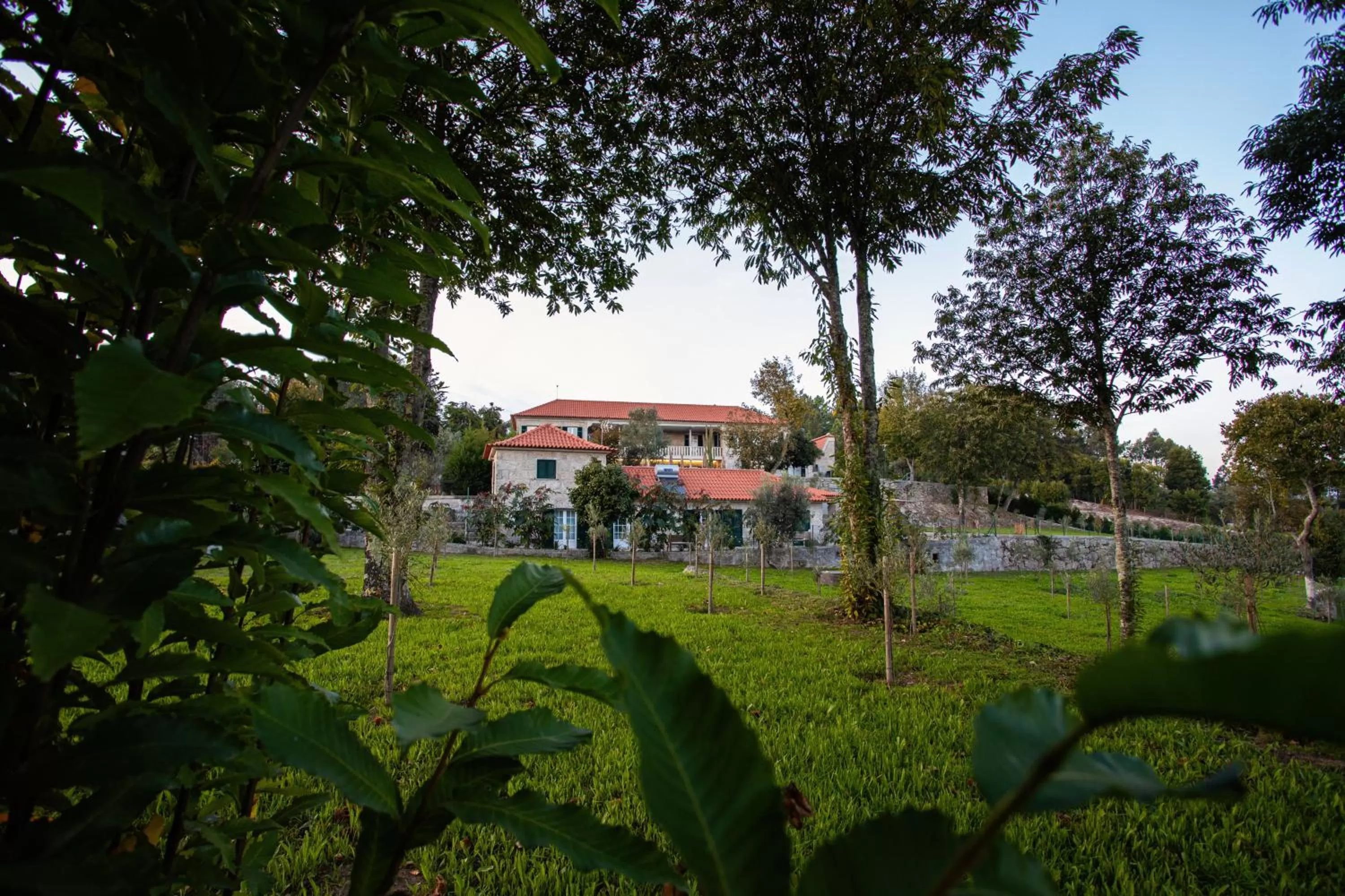 Property building in Fonte Velha