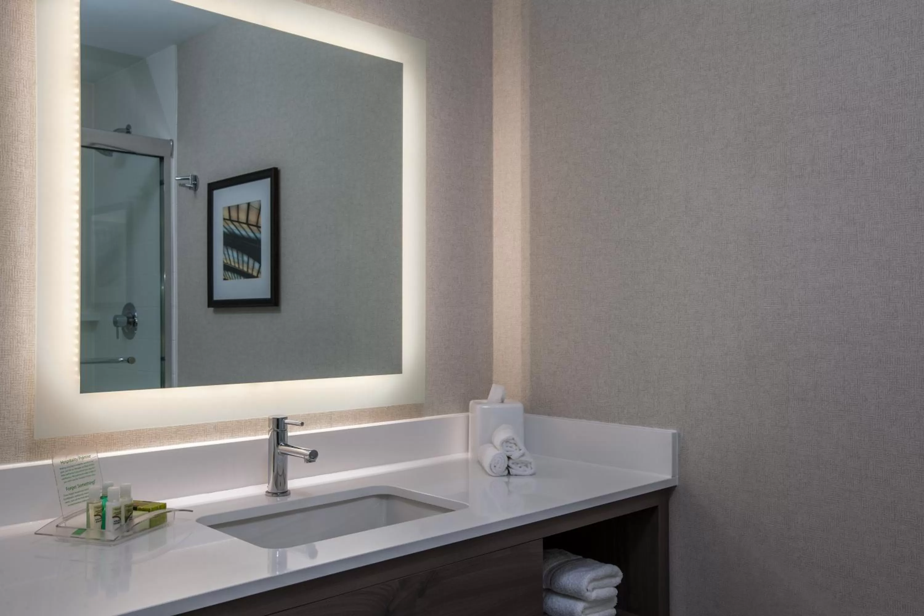 Bathroom in Holiday Inn Cleveland Clinic by IHG