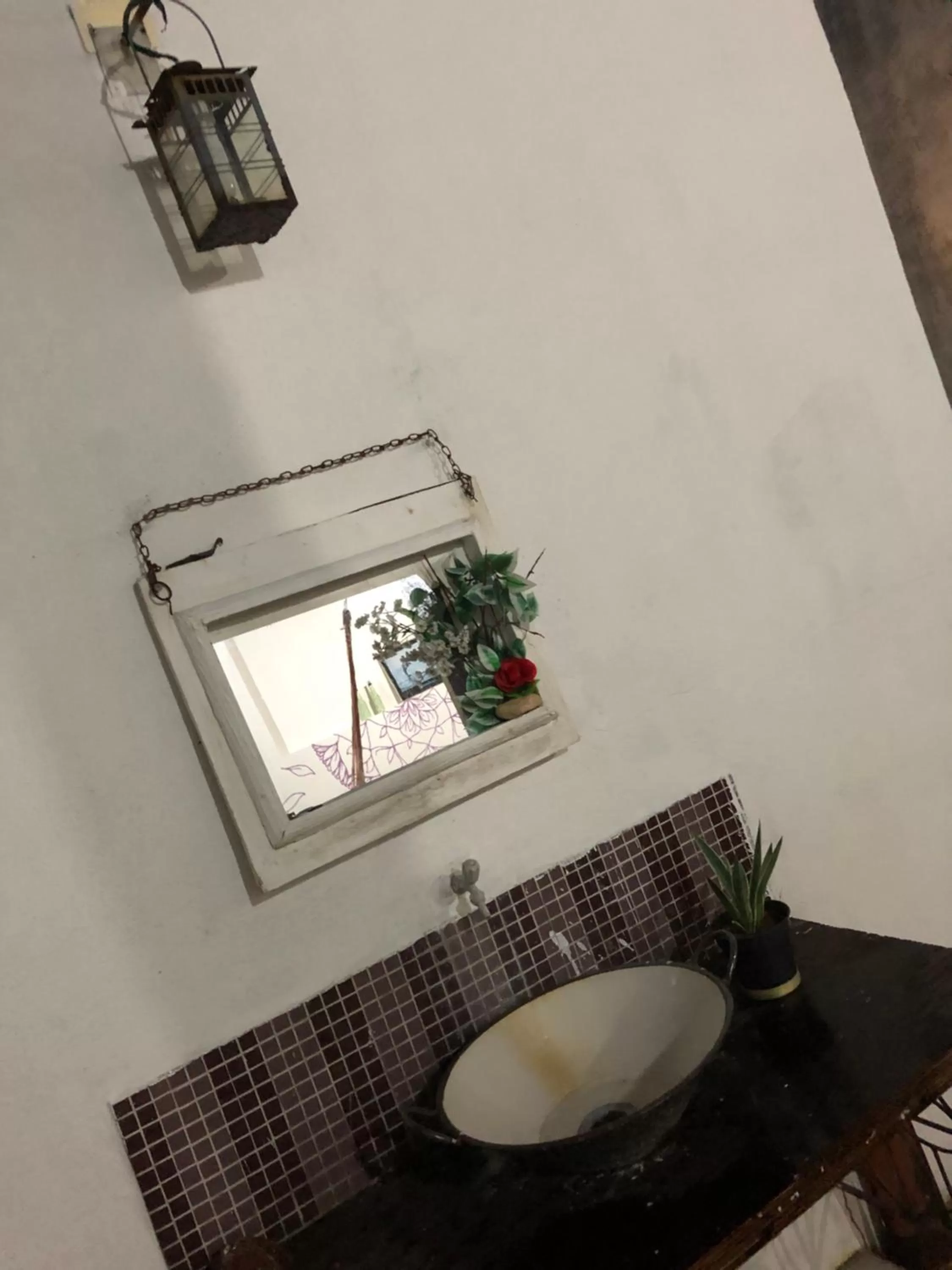 Garden, Bathroom in Hostel Das Canárias