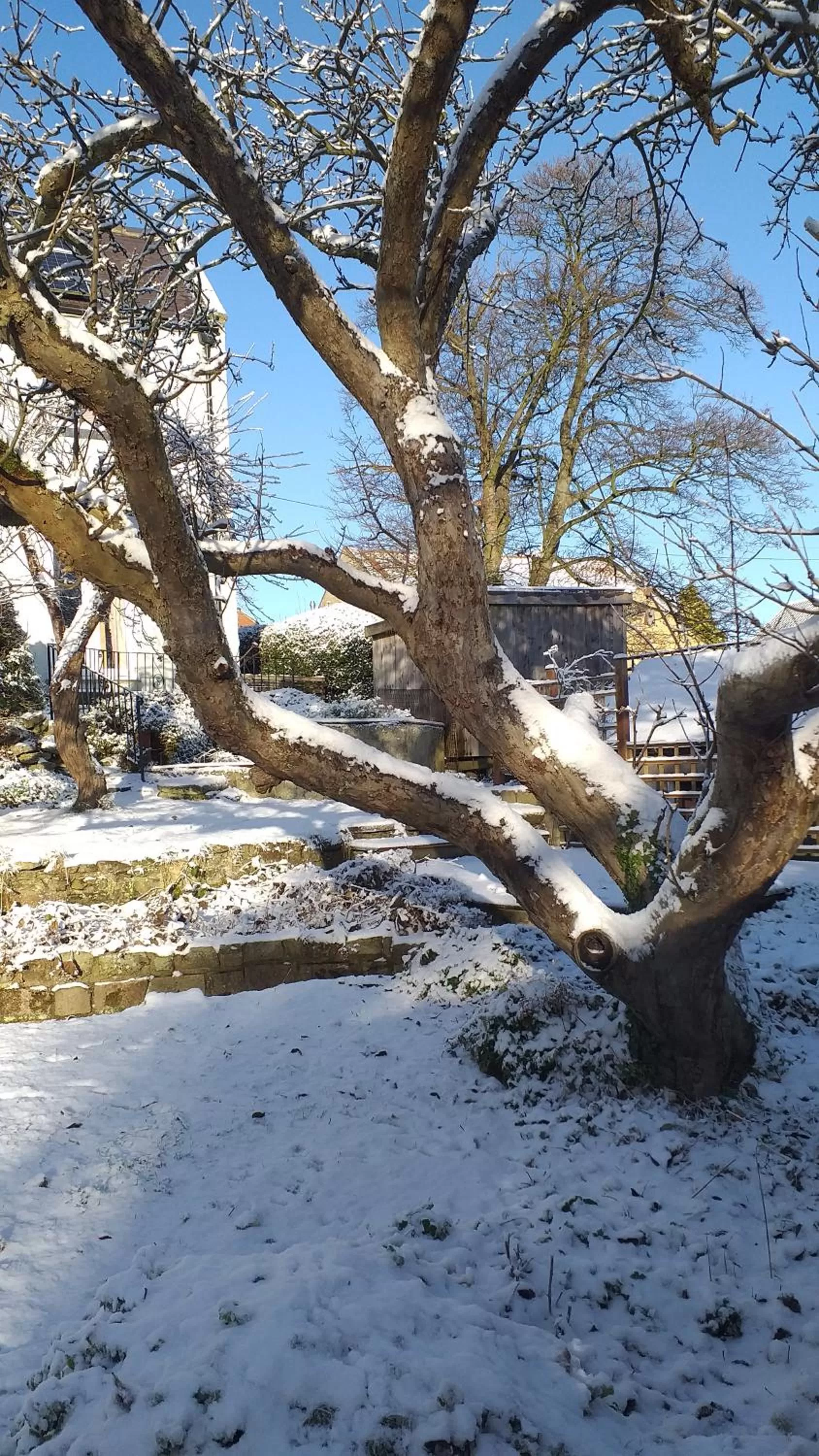 Winter in Littlebeck