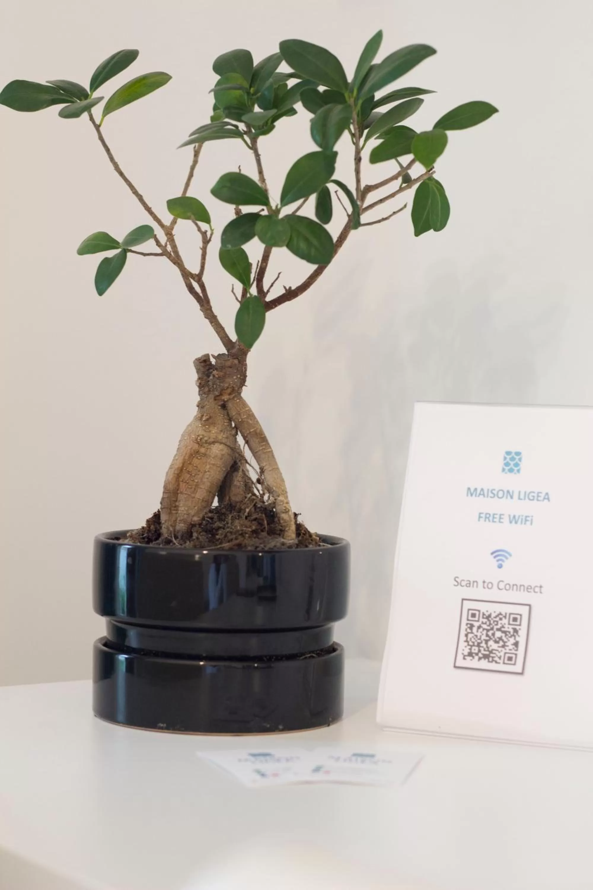 Decorative detail in Maison Ligea