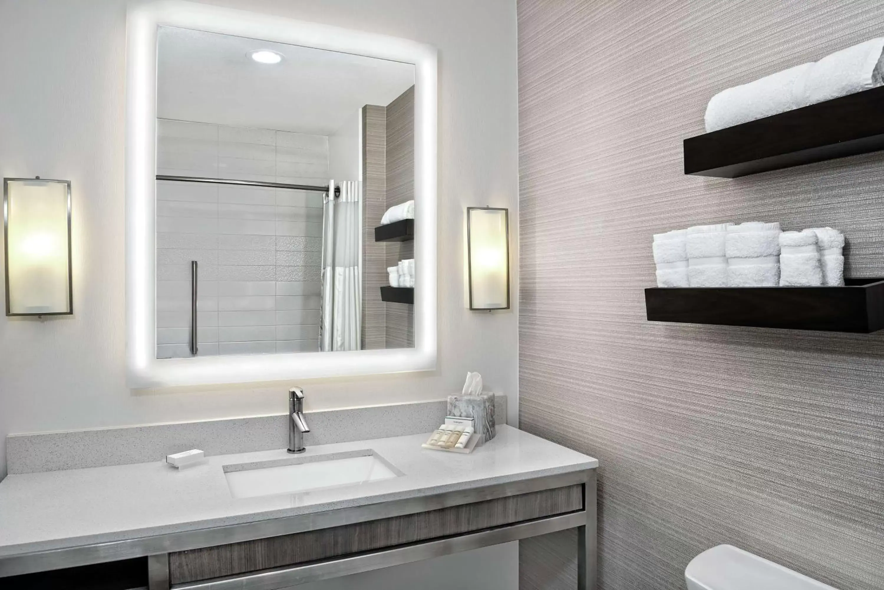 Premium King Room in Hilton Garden Inn San Marcos Premium King Room in Hilton Garden Inn San Marcos