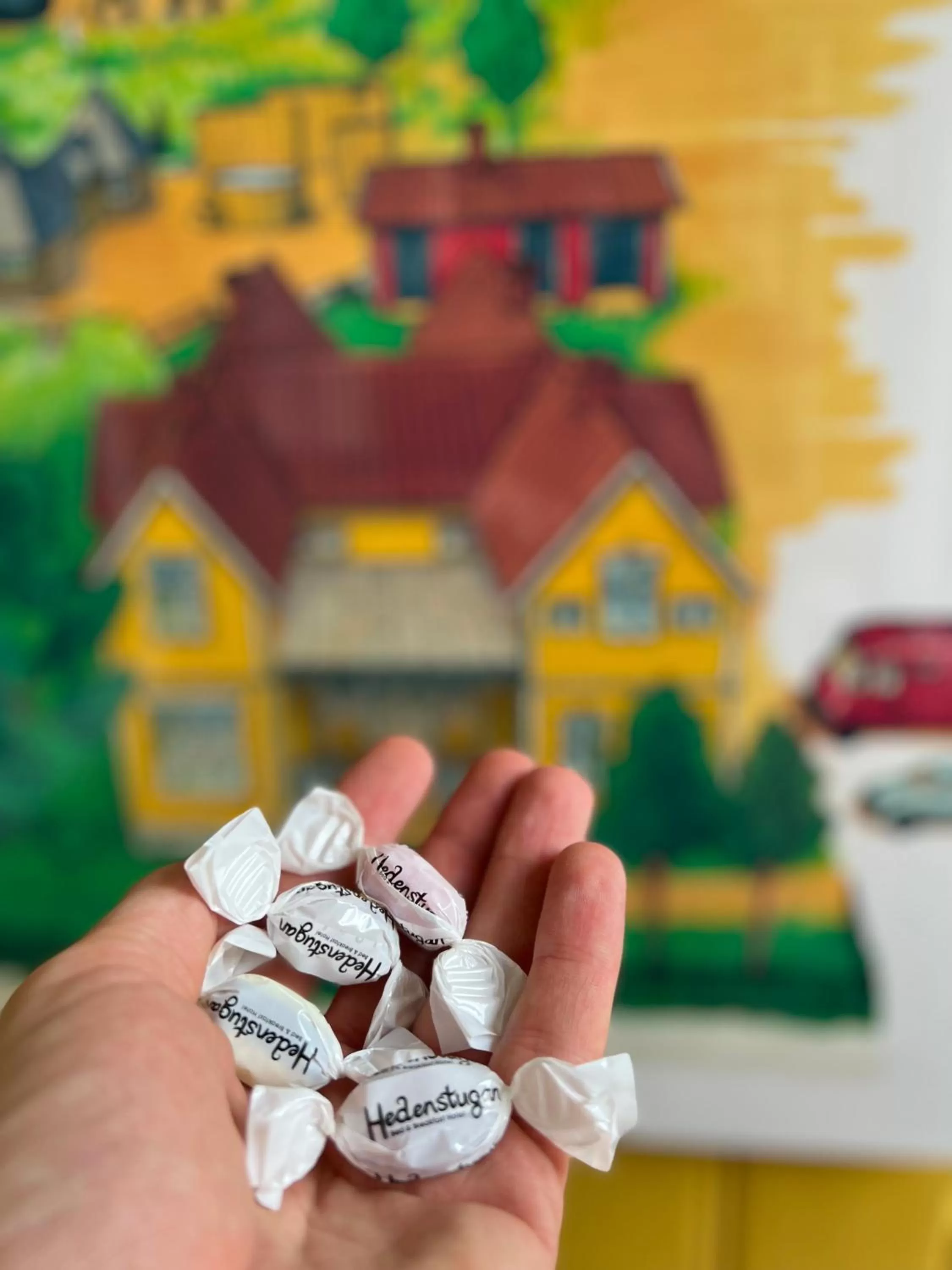 Food and drinks in Hedenstugan B&B Hotel