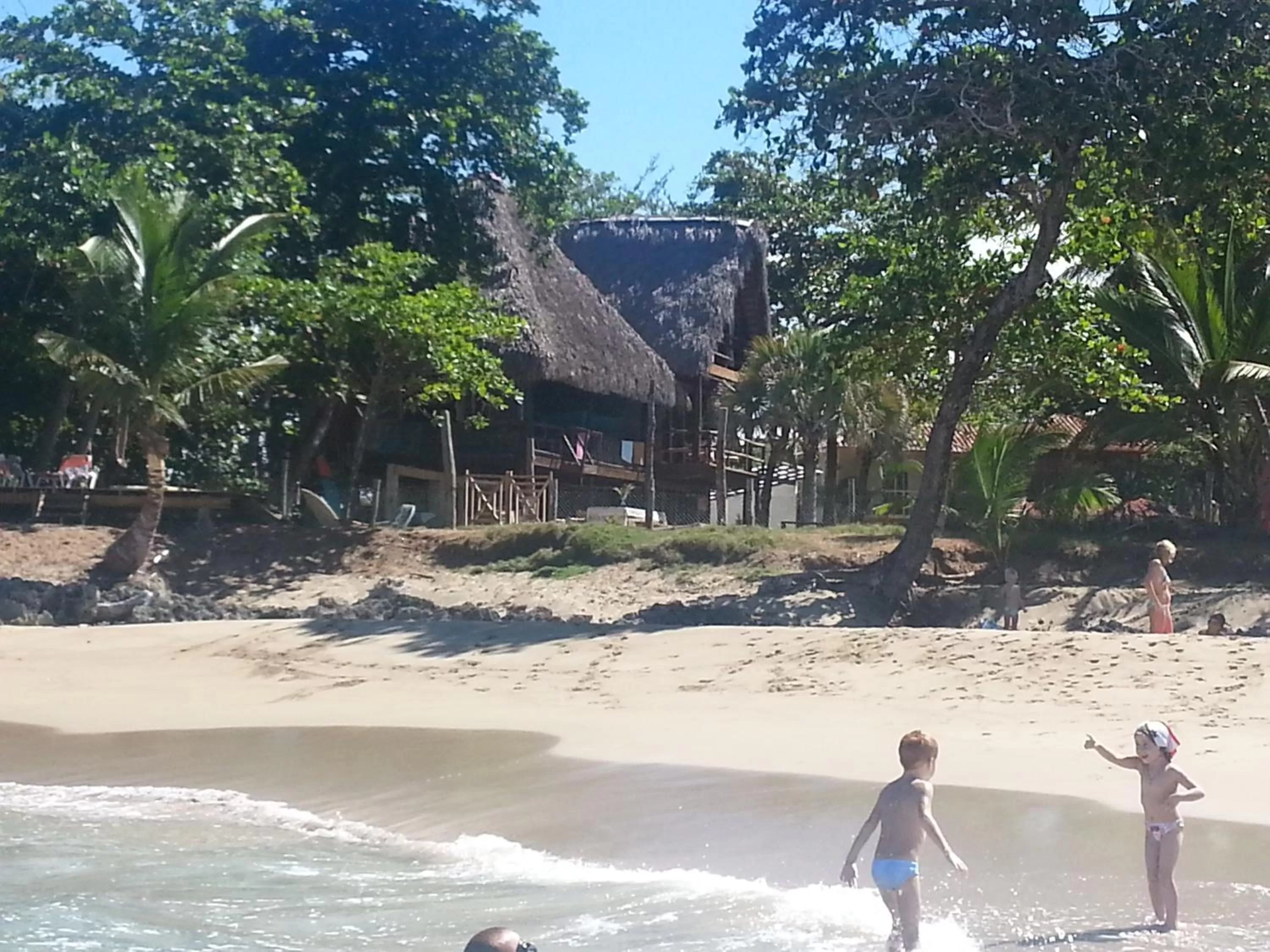 Beach in Cabarete Maravilla Eco Lodge Boutique Beach Surf Encuentro, Kite, by AA Crypto Group