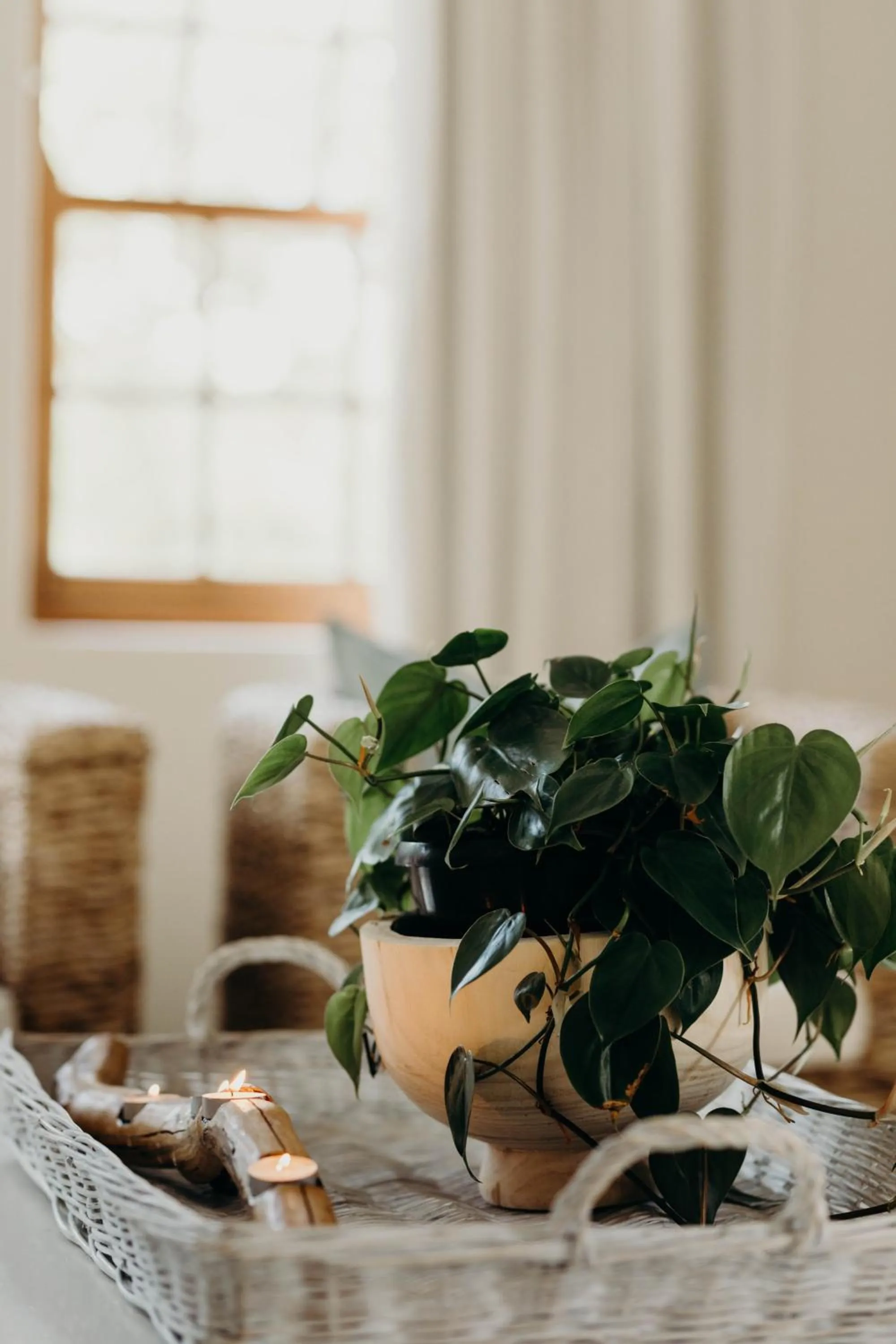 Living room in The Robberg Beach Lodge - Lion Roars Hotels & Lodges