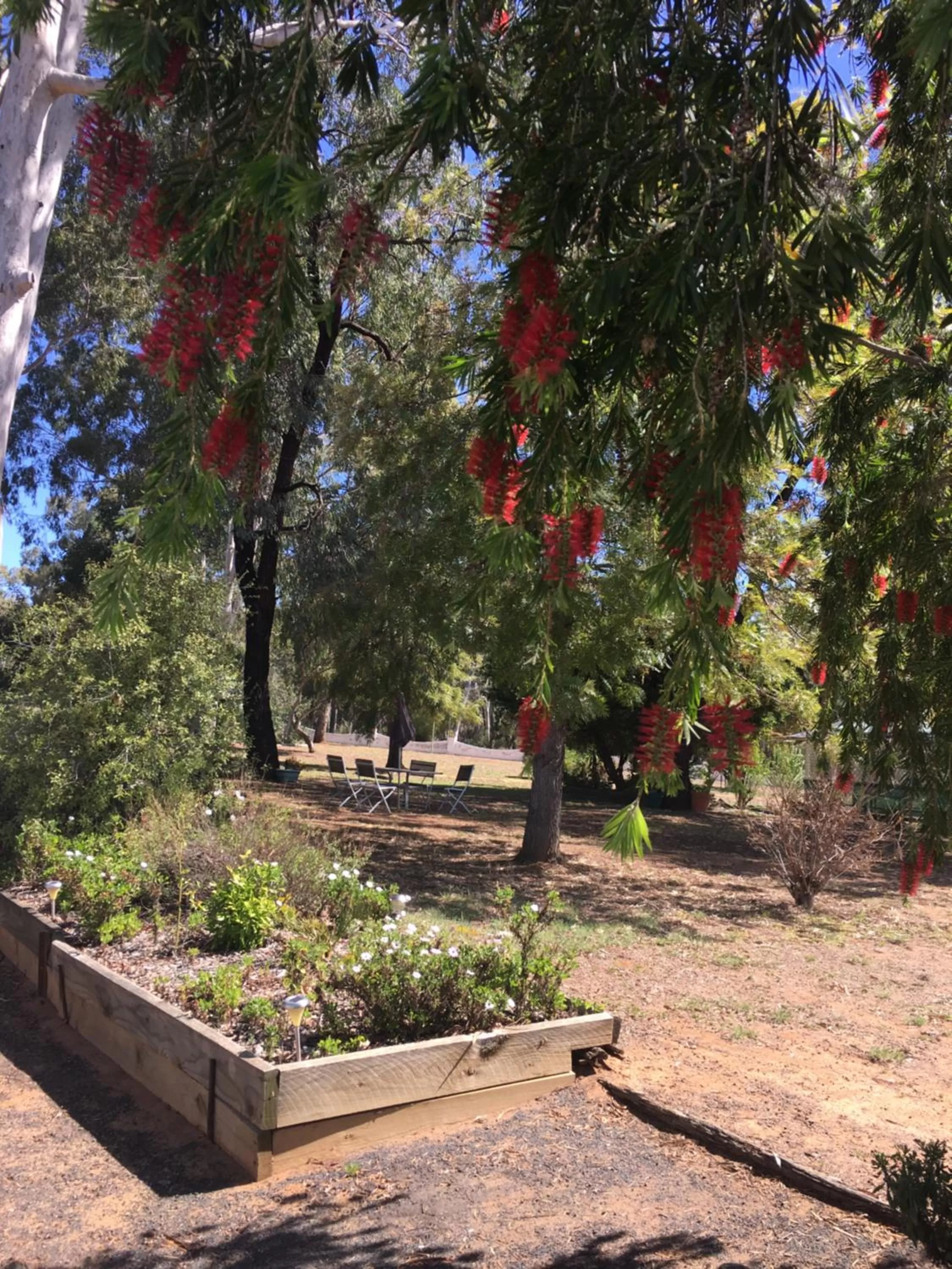 Garden in Azalea Motel