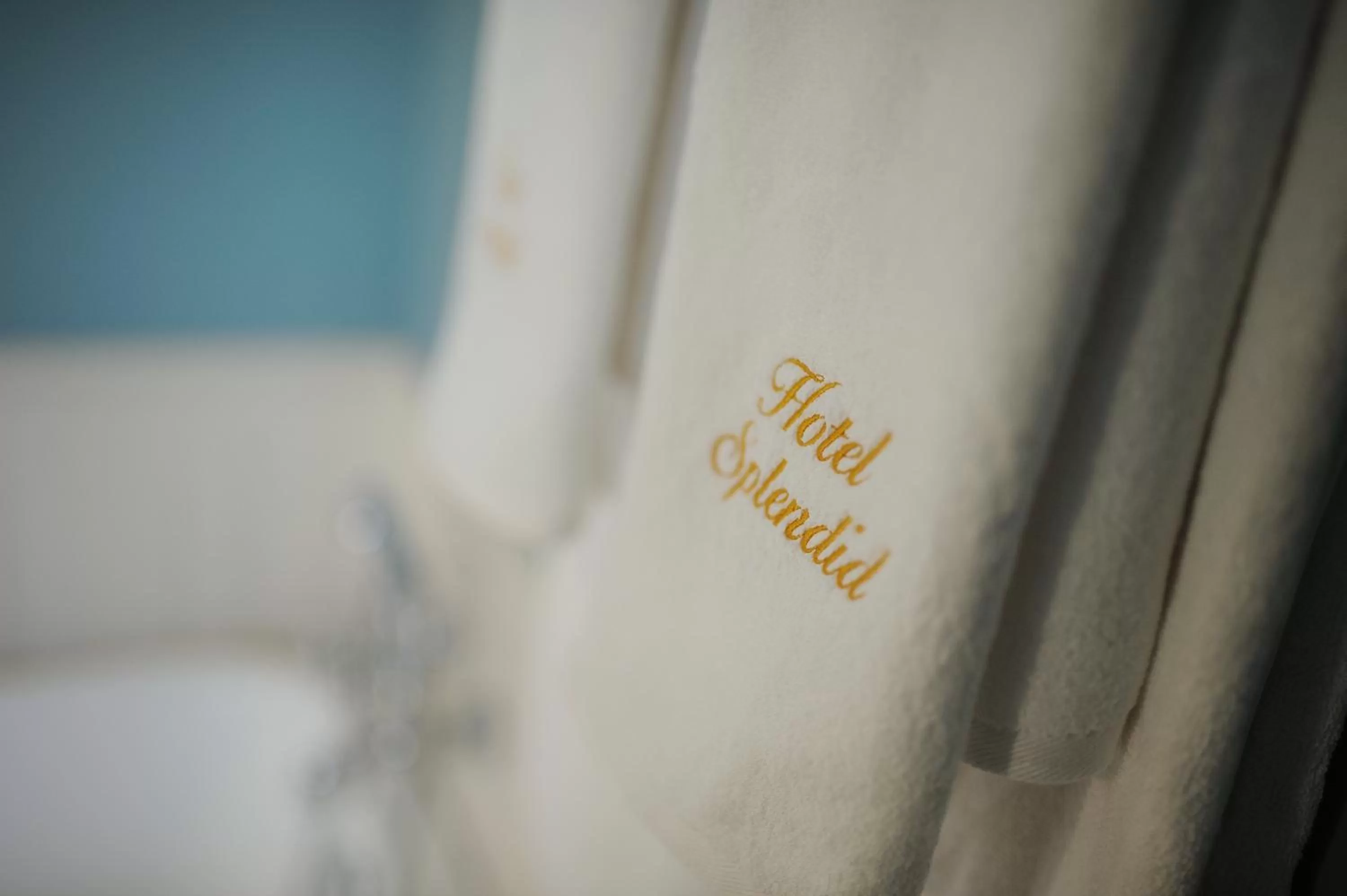 Sauna in Hotel Splendid 1900