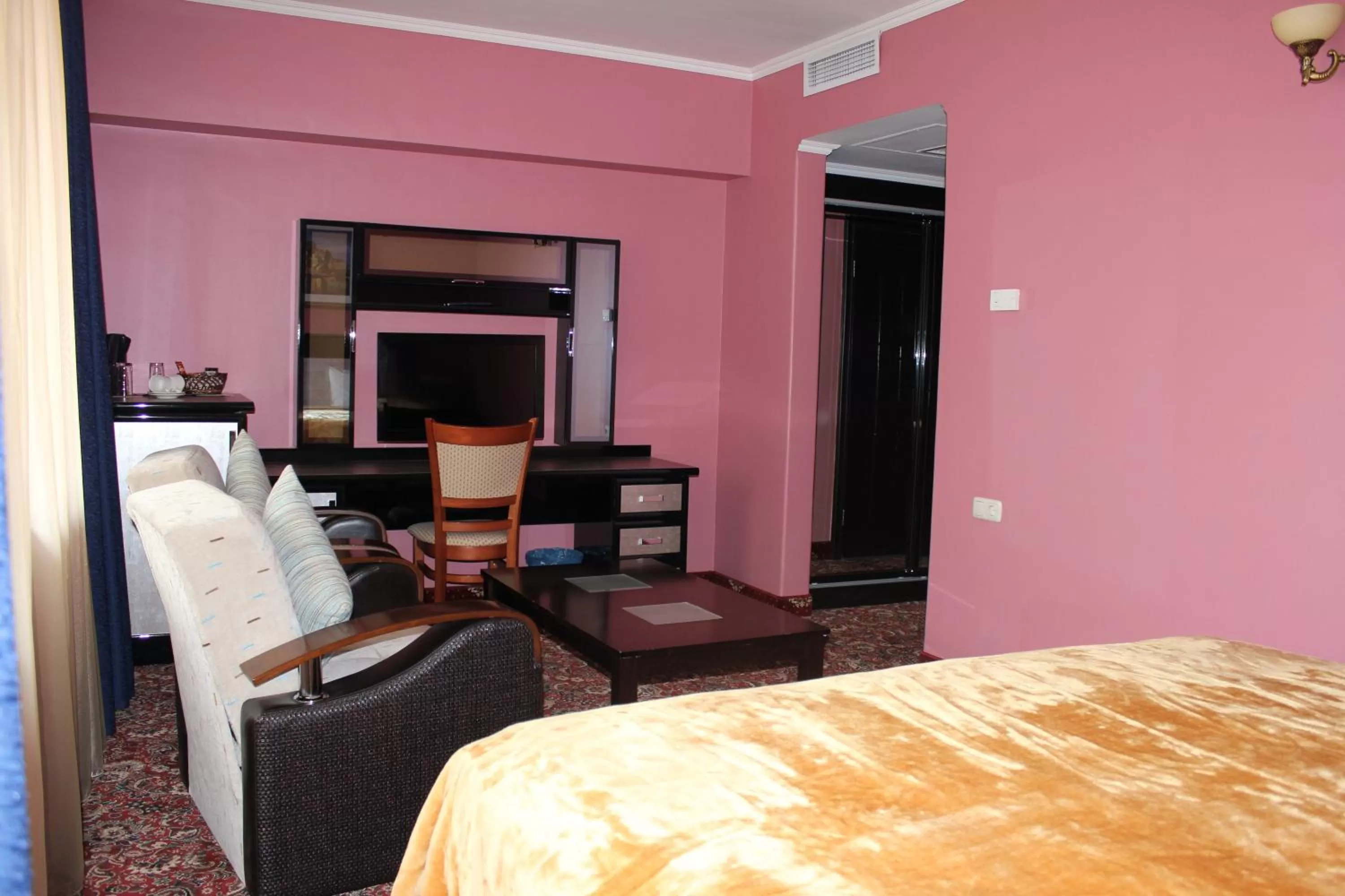 TV and multimedia in Erebuni Hotel Yerevan