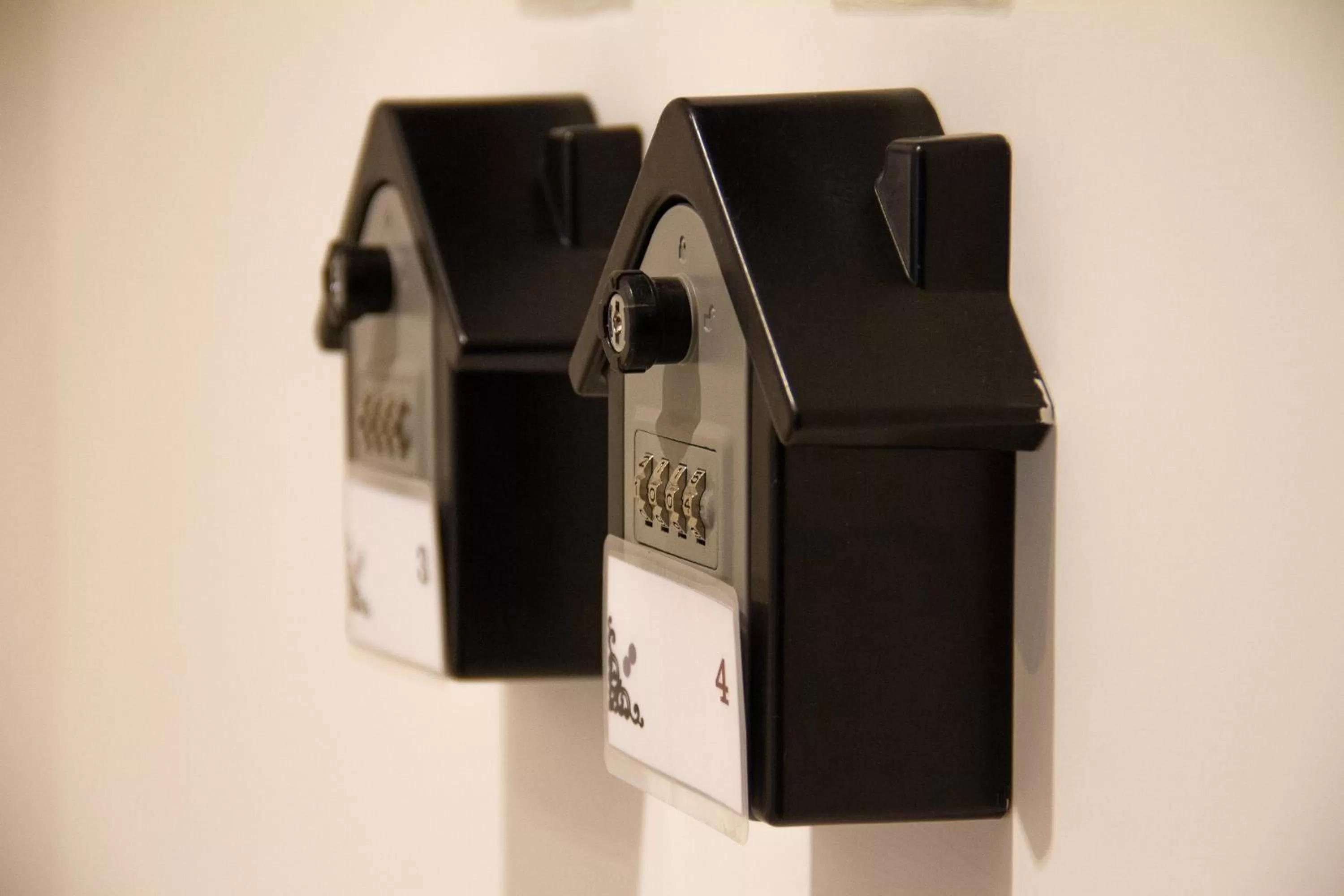 Decorative detail in Michelangelo Vatican Rooms