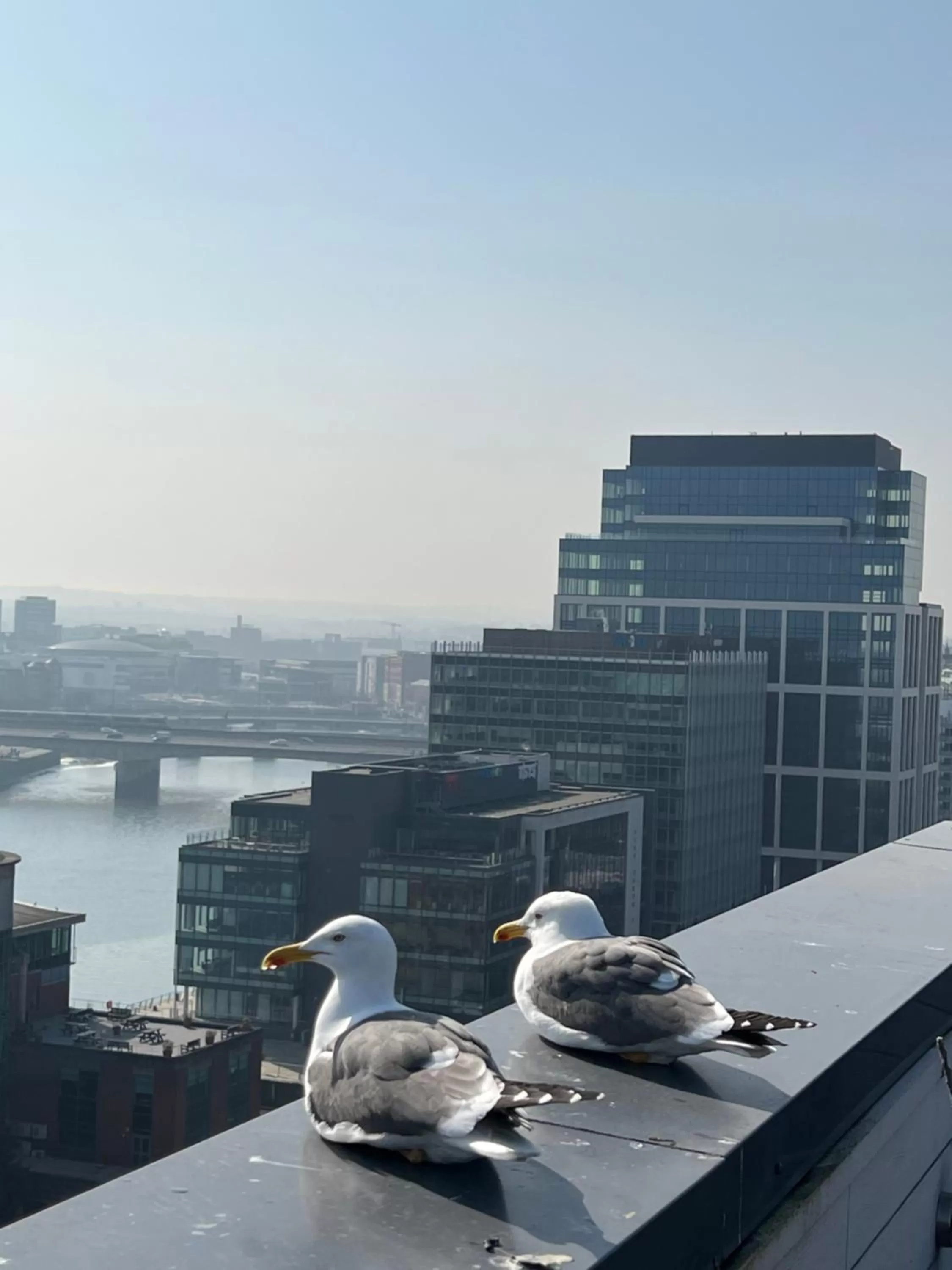 James Clow Bed & Breakfast