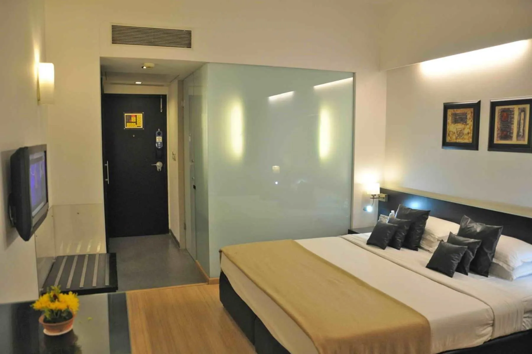 Photo of the whole room, Bed in Comfort Inn Sunset