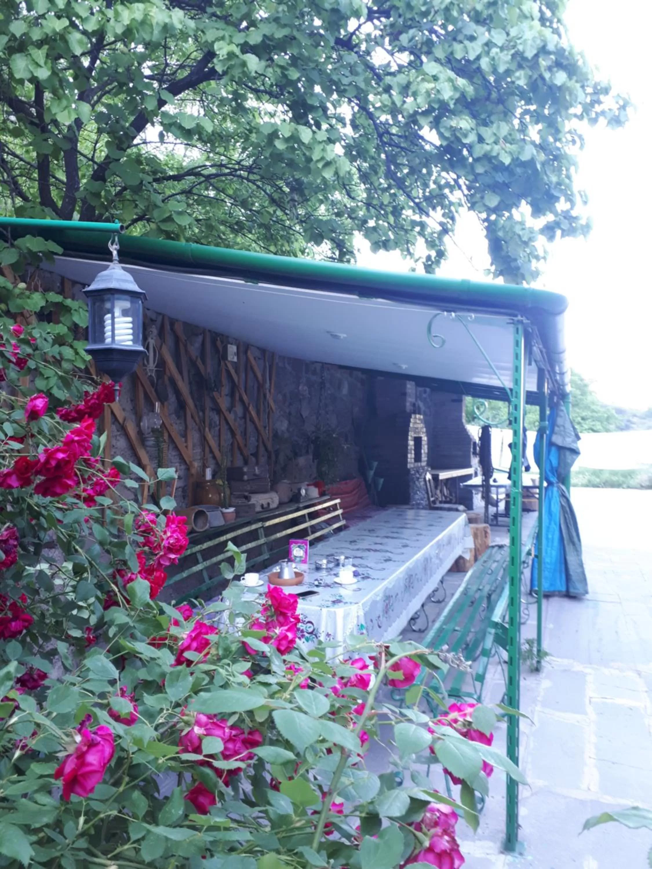 Garden view in IRIS B&B in DEBED CANYON