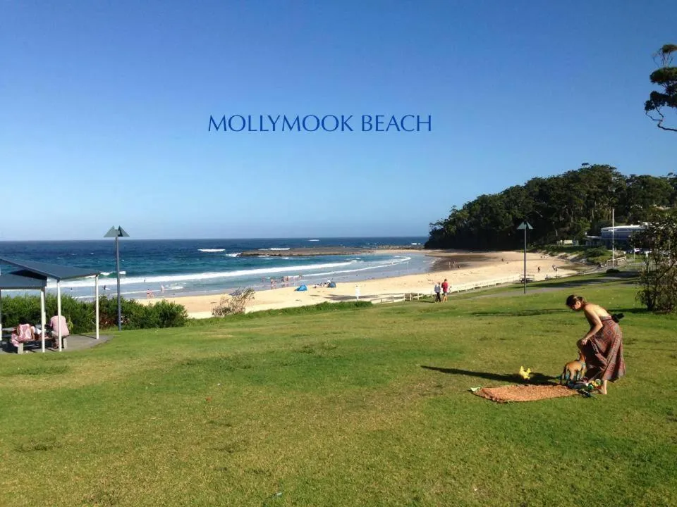 Neighbourhood in Beach House Mollymook