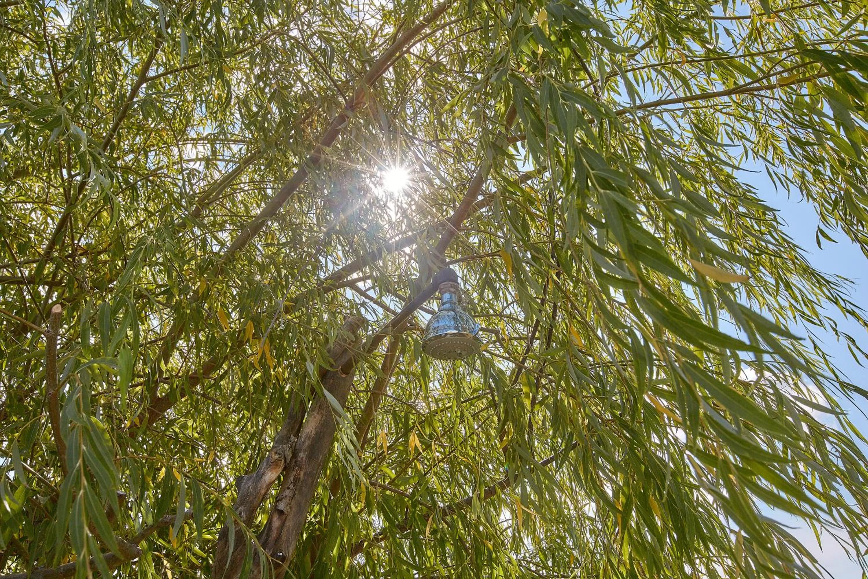 Other in Podere San Giuseppe