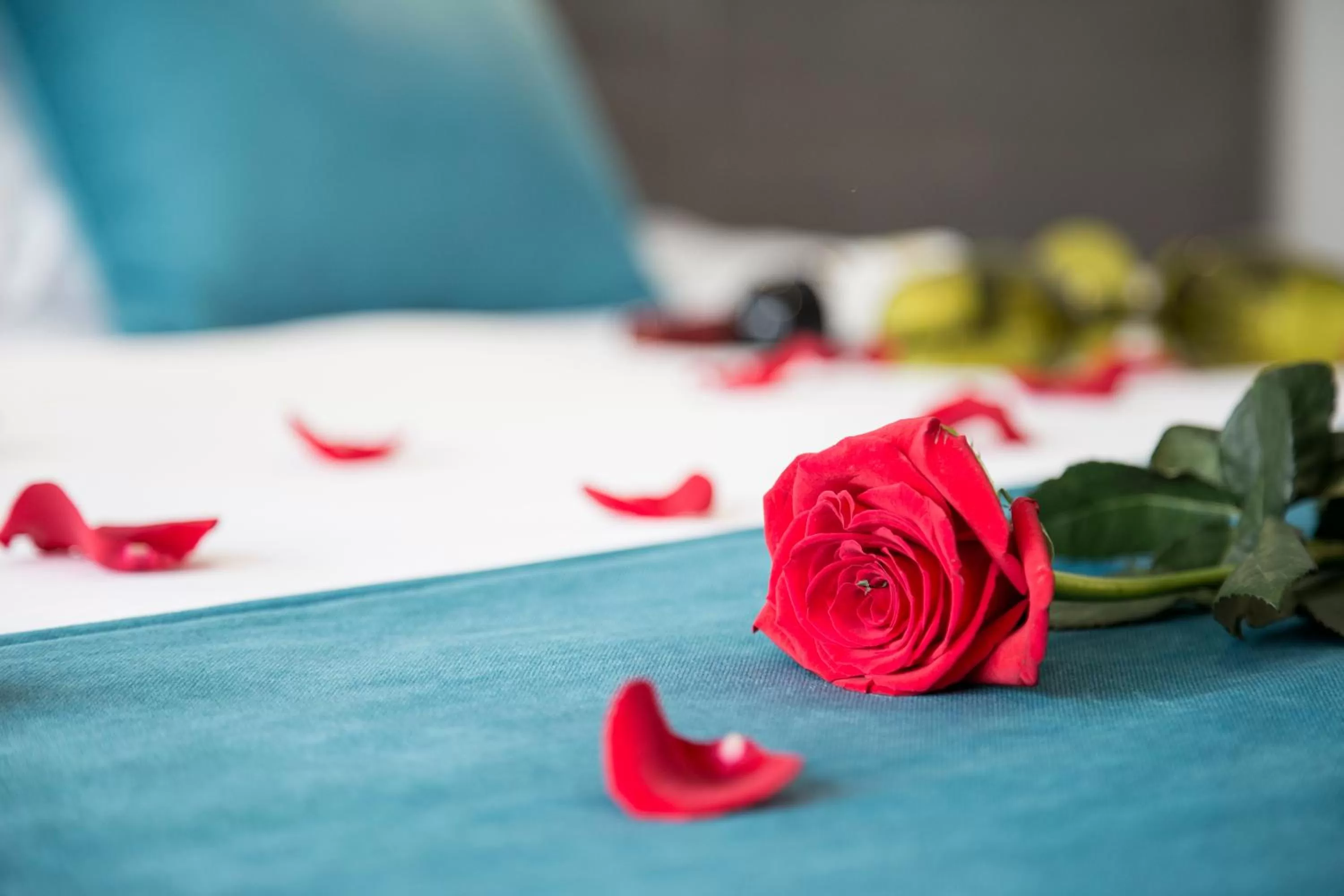 Bedroom, Spa/Wellness in Agora Suites Self-Service Boutique Hotel