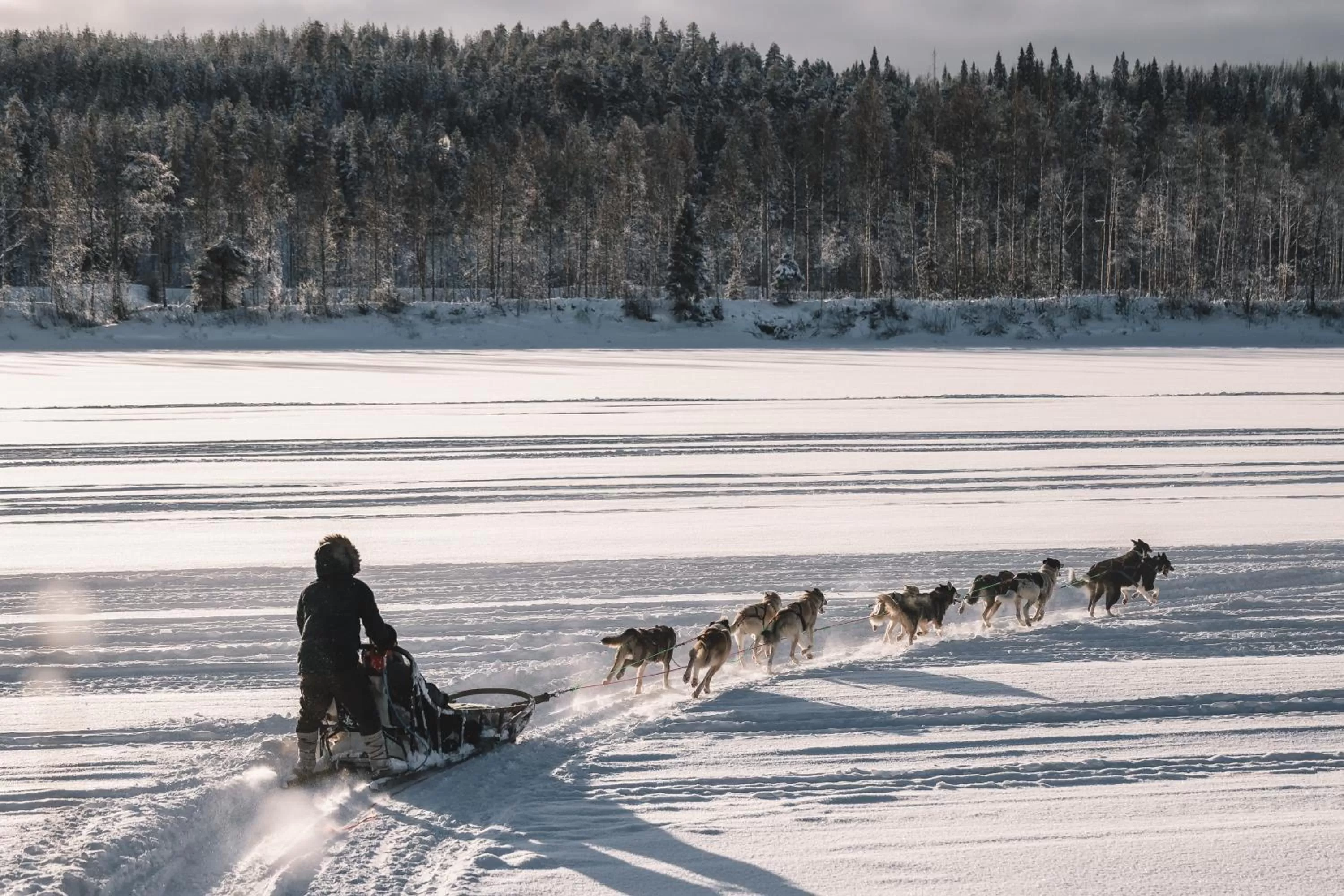 Natural landscape in Nova Skyland Hotel