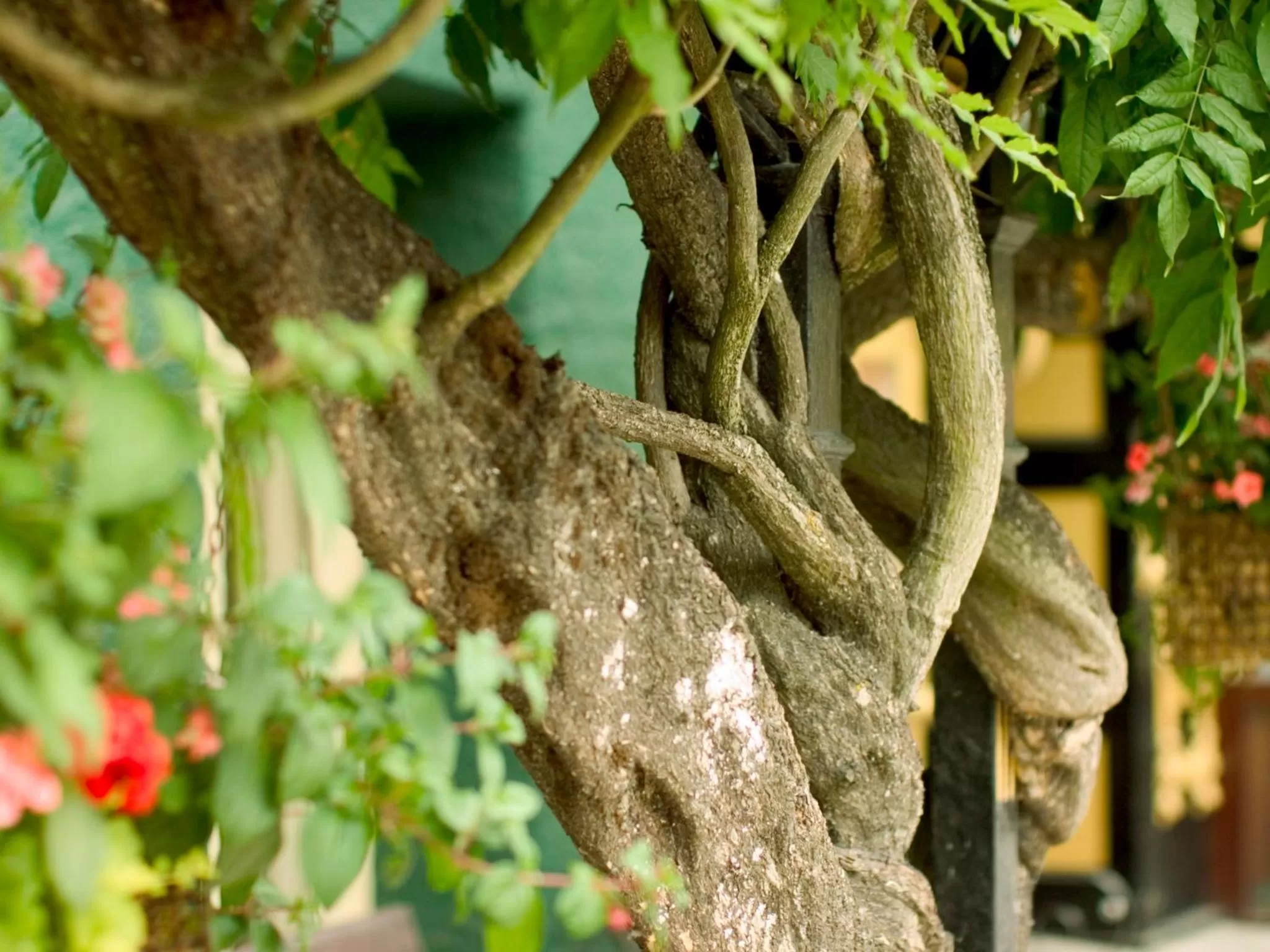 Facade/entrance in Metropole Hotel and Spa