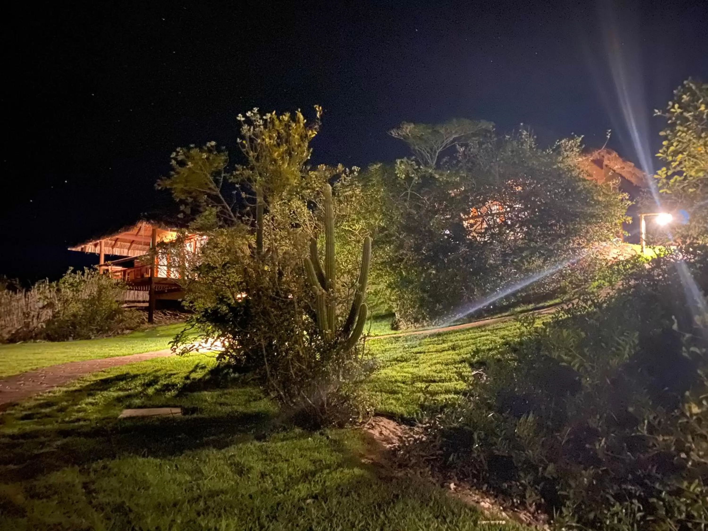 Garden in Kauli Seadi Beach Hotel