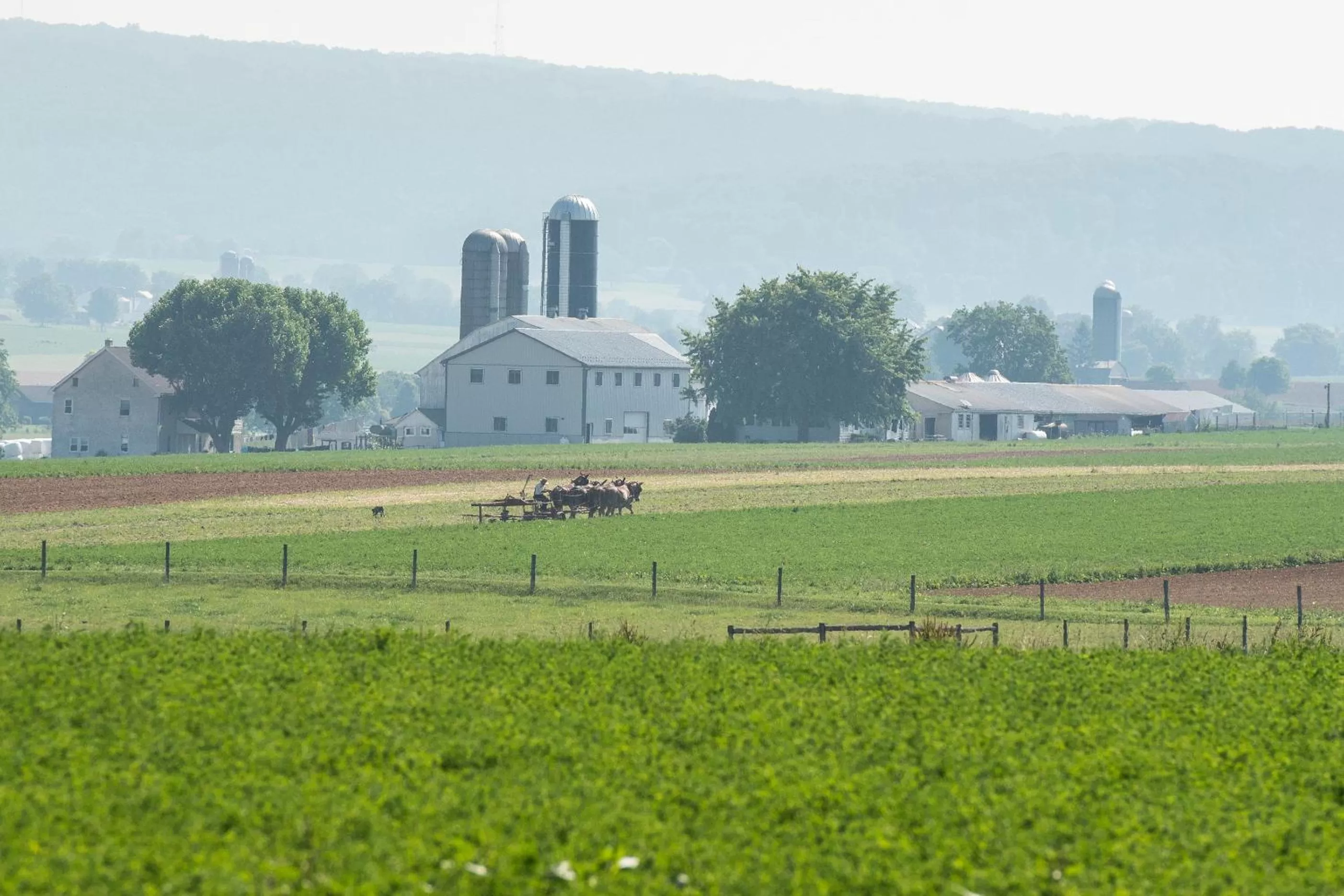 View (from property/room) in Travelers Rest Motel