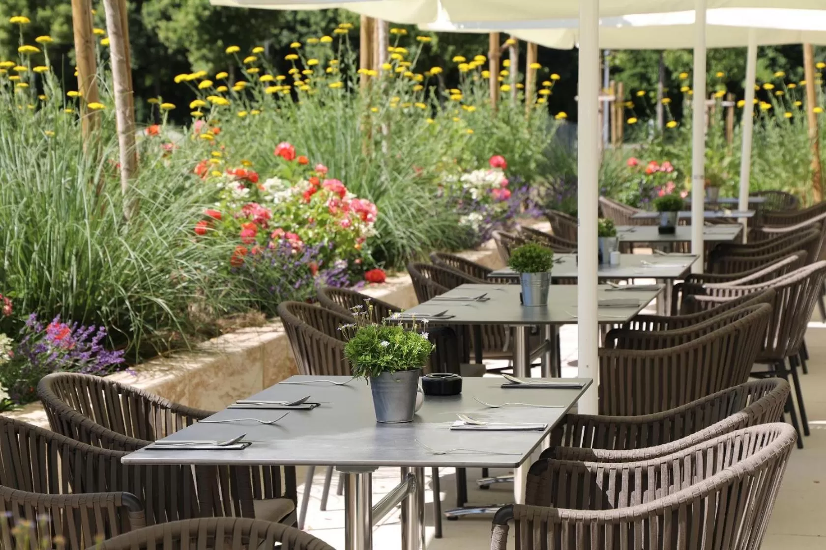 Balcony/Terrace in Hotel INCLUDiO