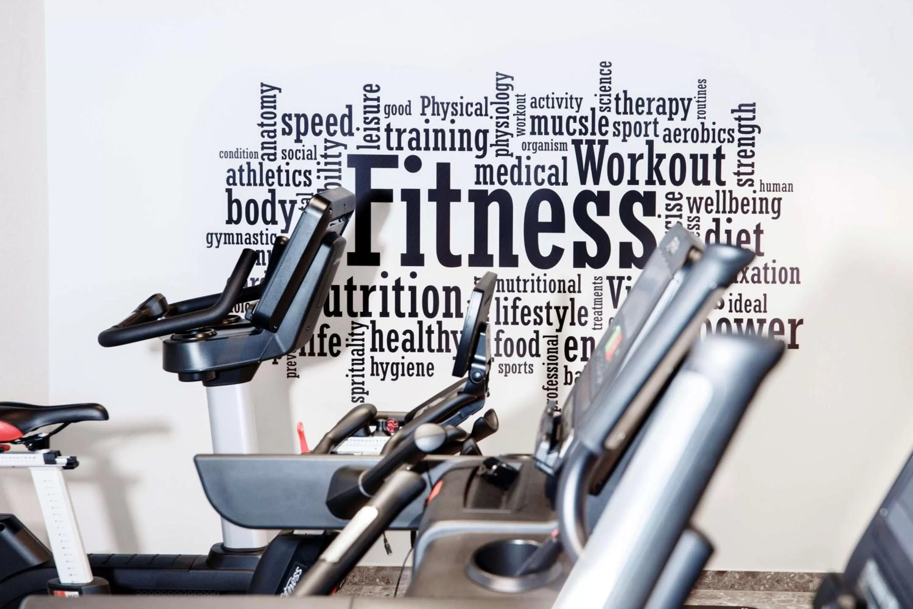 Activities in Radisson Blu Hotel, Bruges