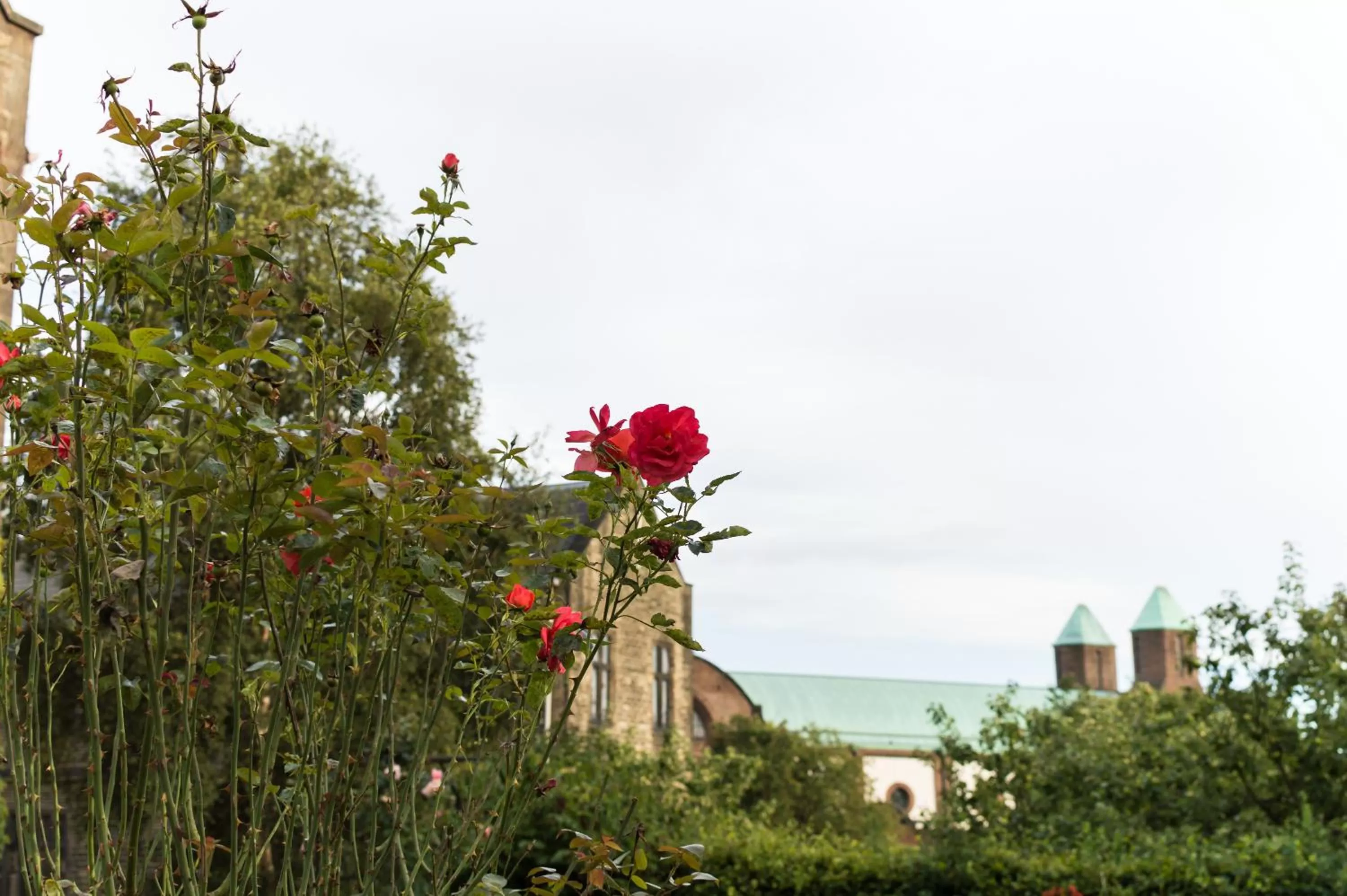 Garden view in Mirfield Monastery B&B