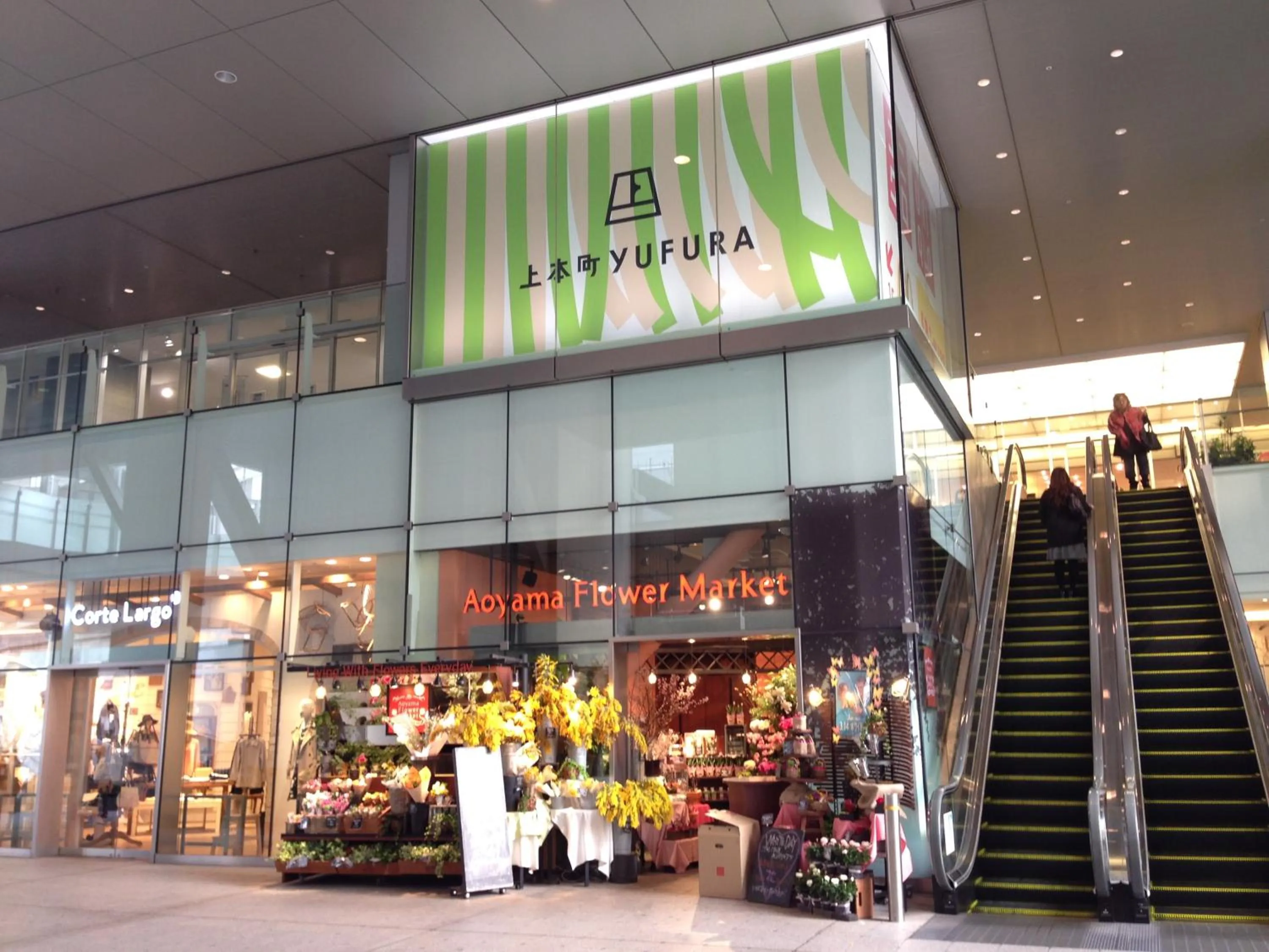 Other in Hotel International House Osaka