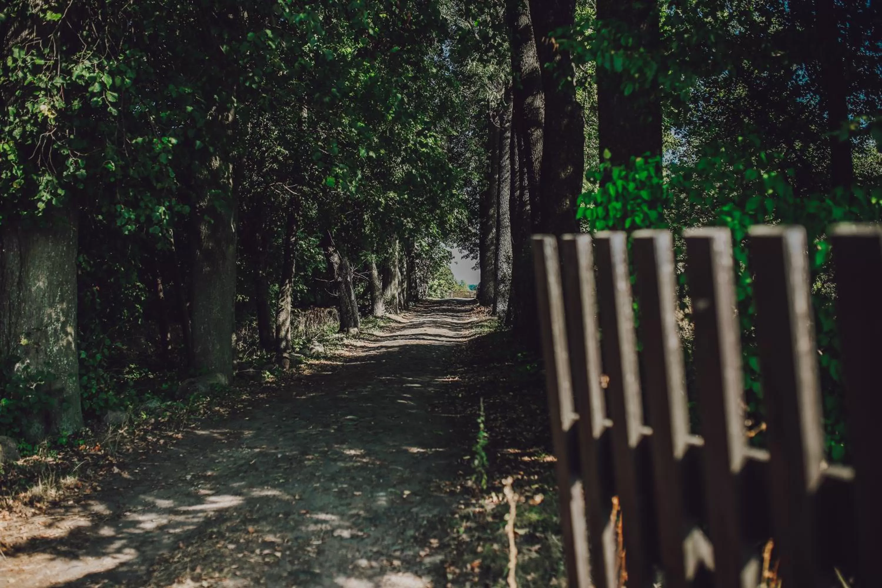 Spring in Dom na Mazurach Pilec