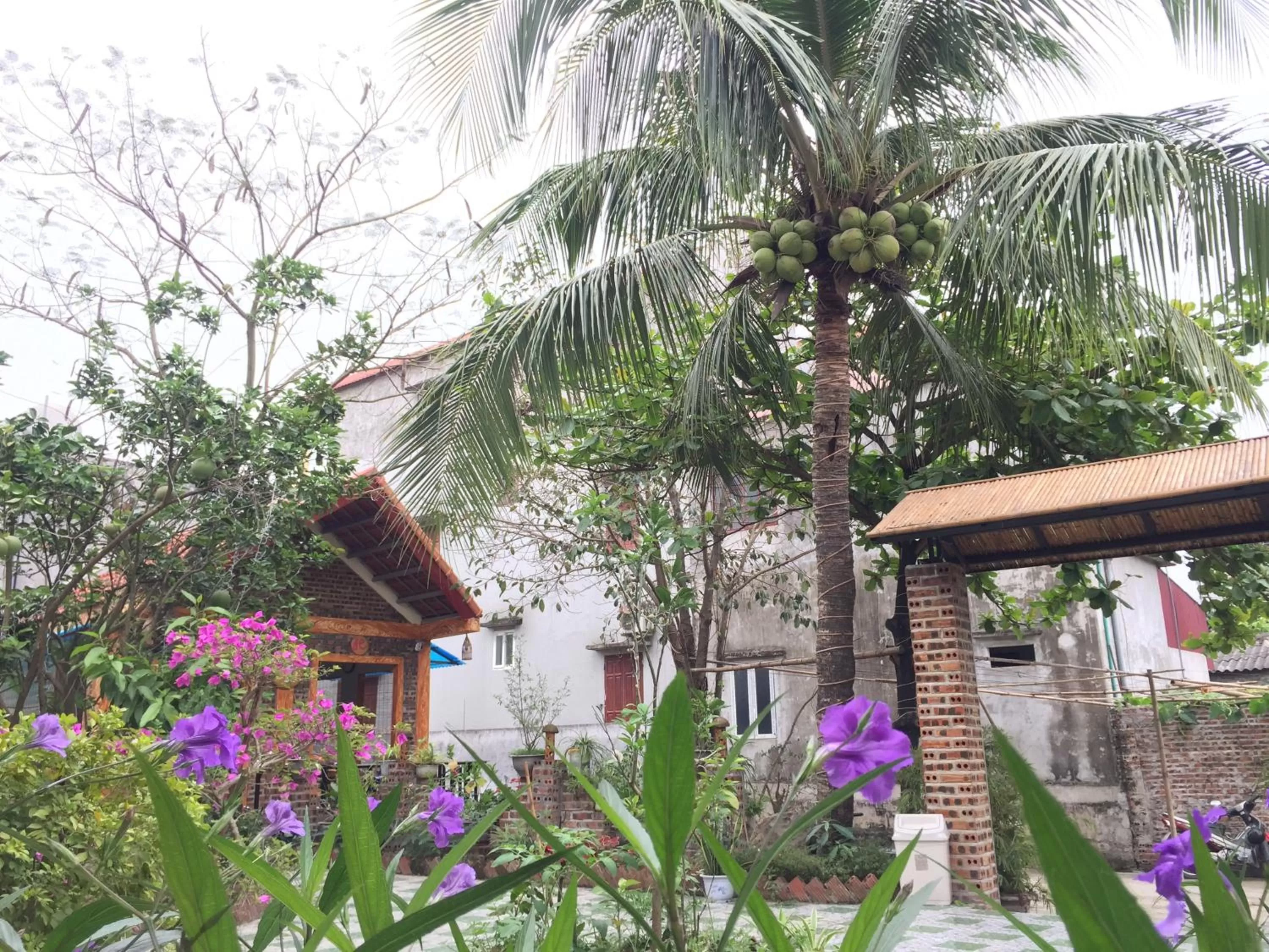 Property building in Tam Coc Vinh Thinh Homestay