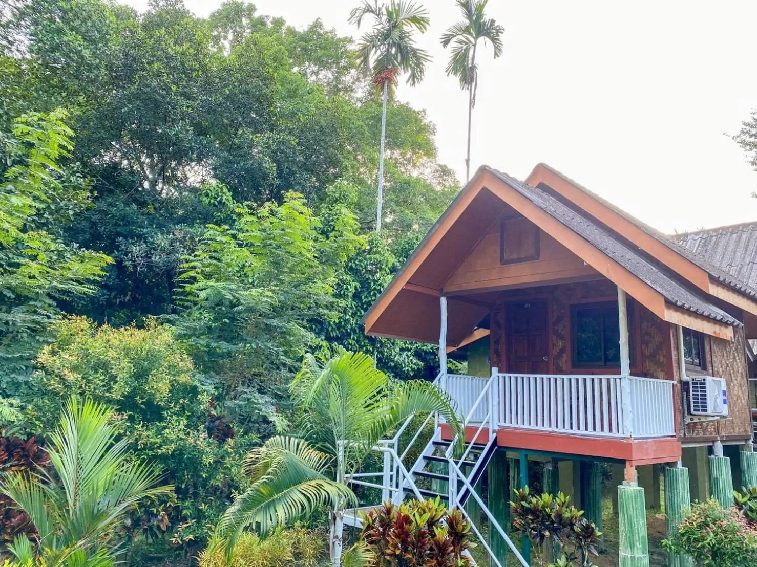 Property building in Khao Sok Jungle Huts Resort