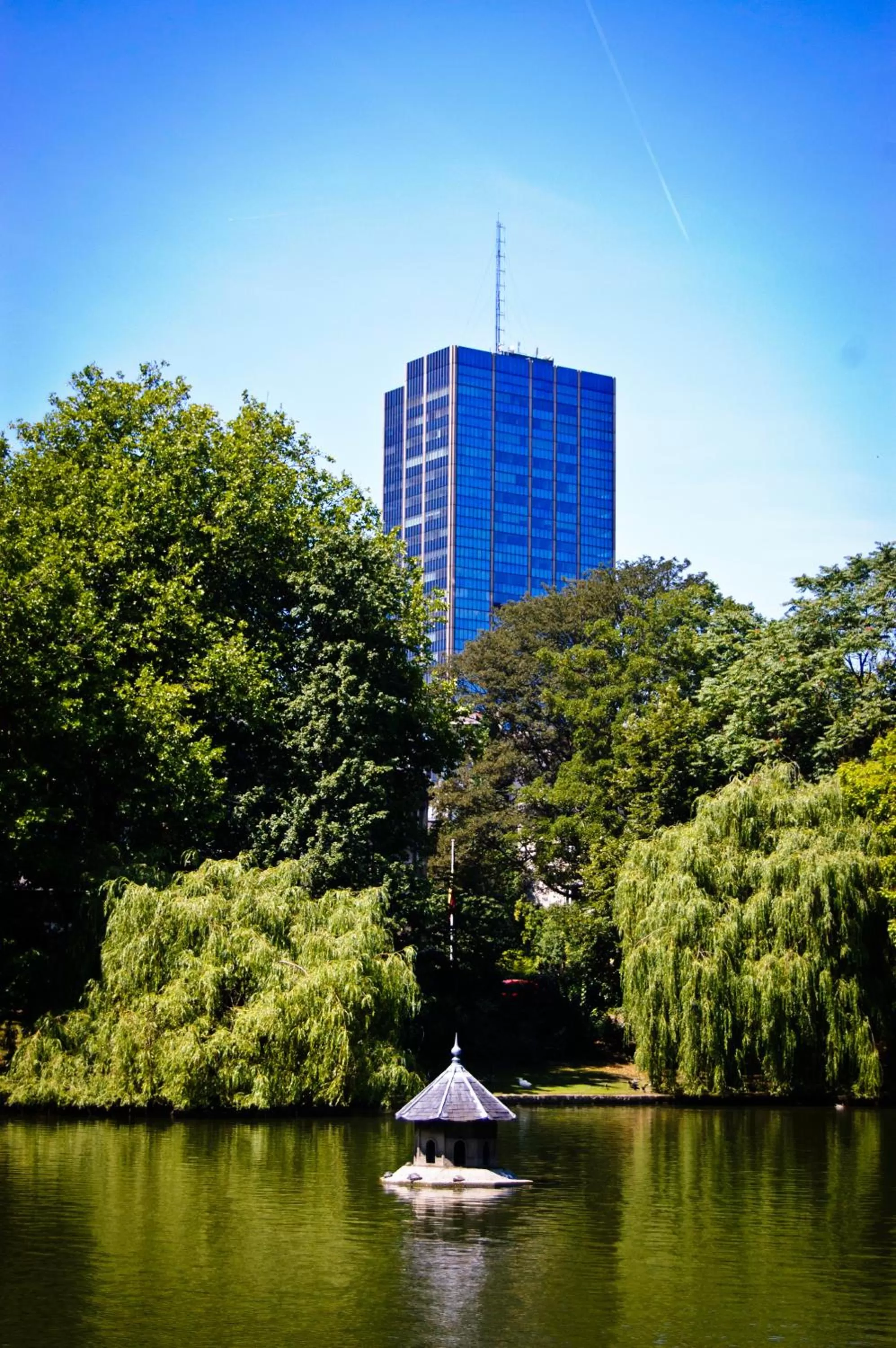 Area and facilities in B&B House Ninety